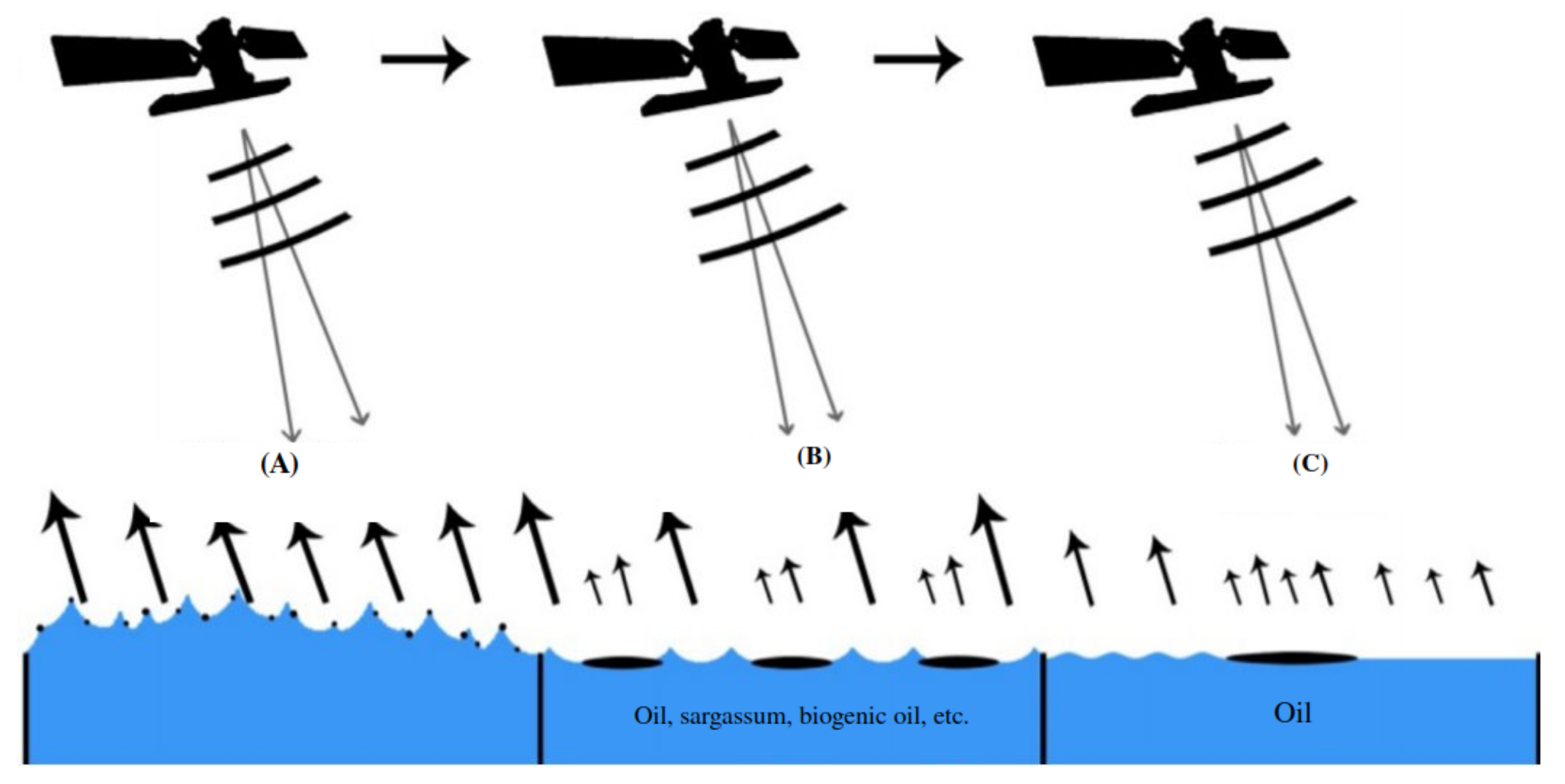 Remotesensing 14 03565 g001 550