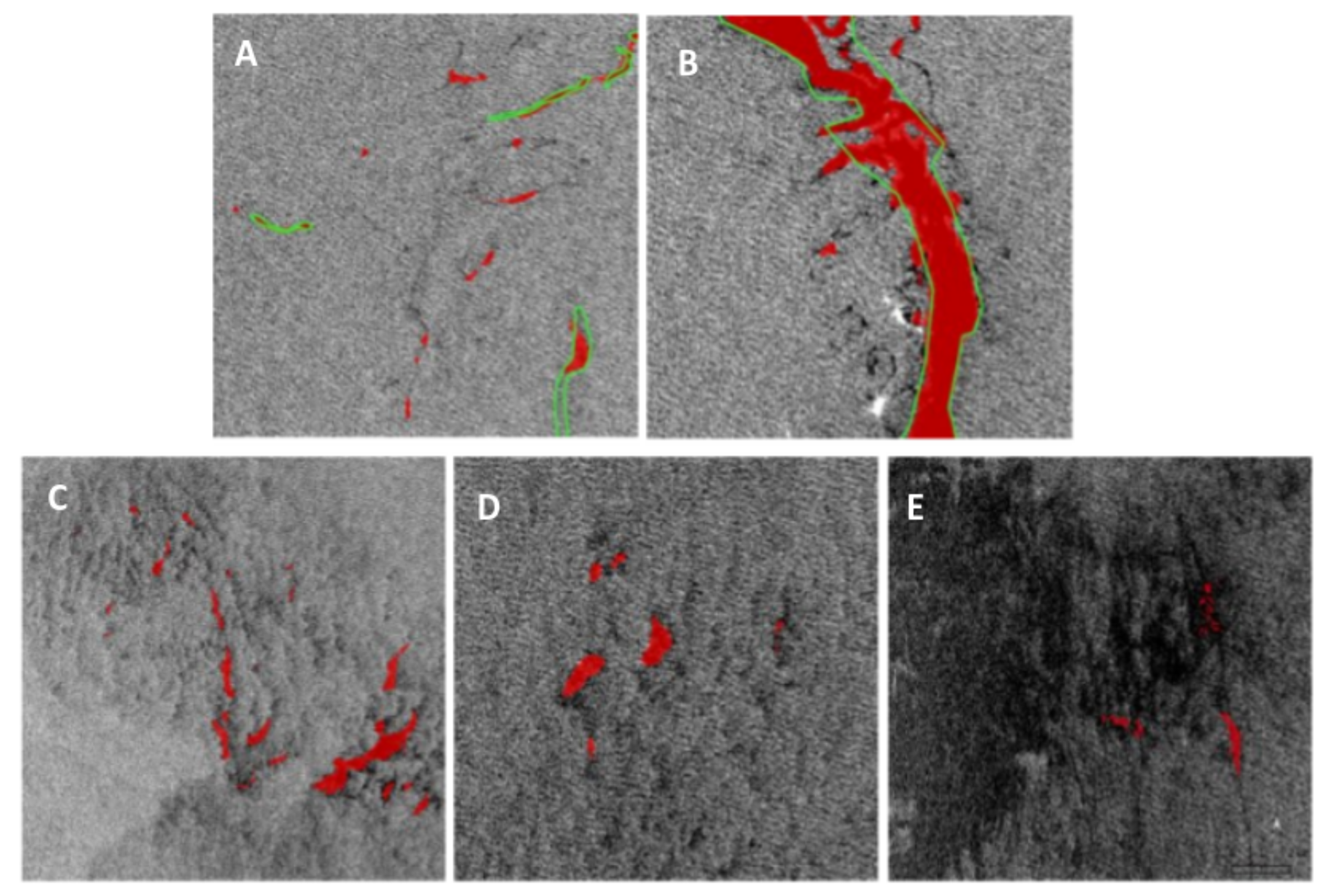 Remotesensing 14 03565 g019 550