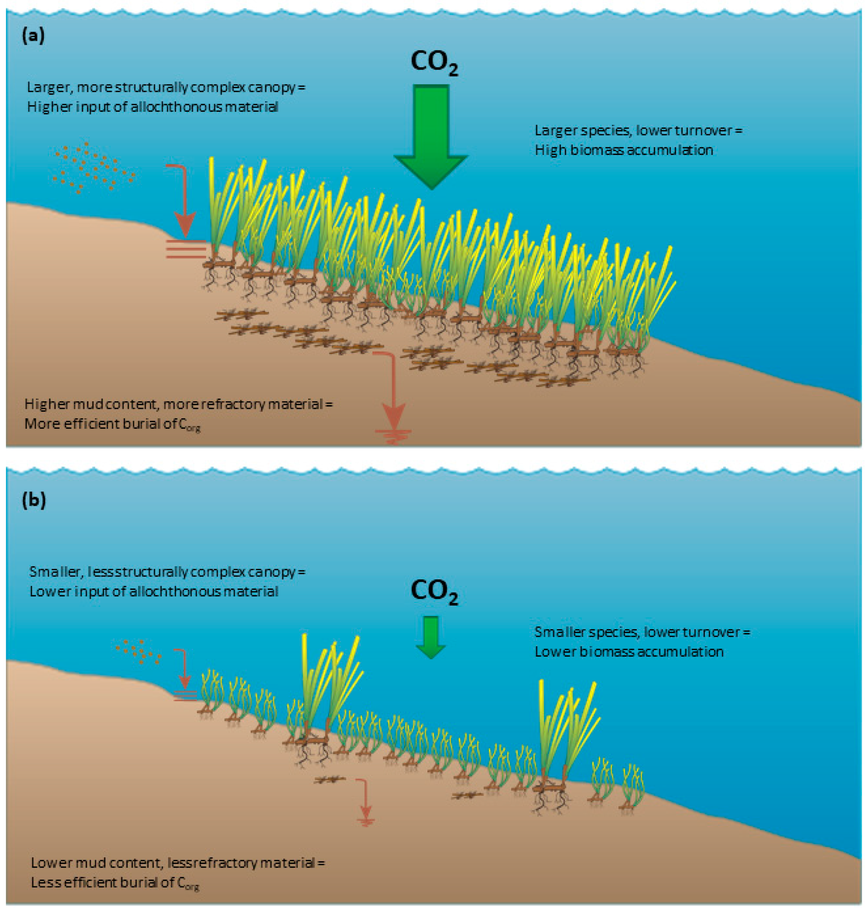 Remotesensing 14 03572 g001