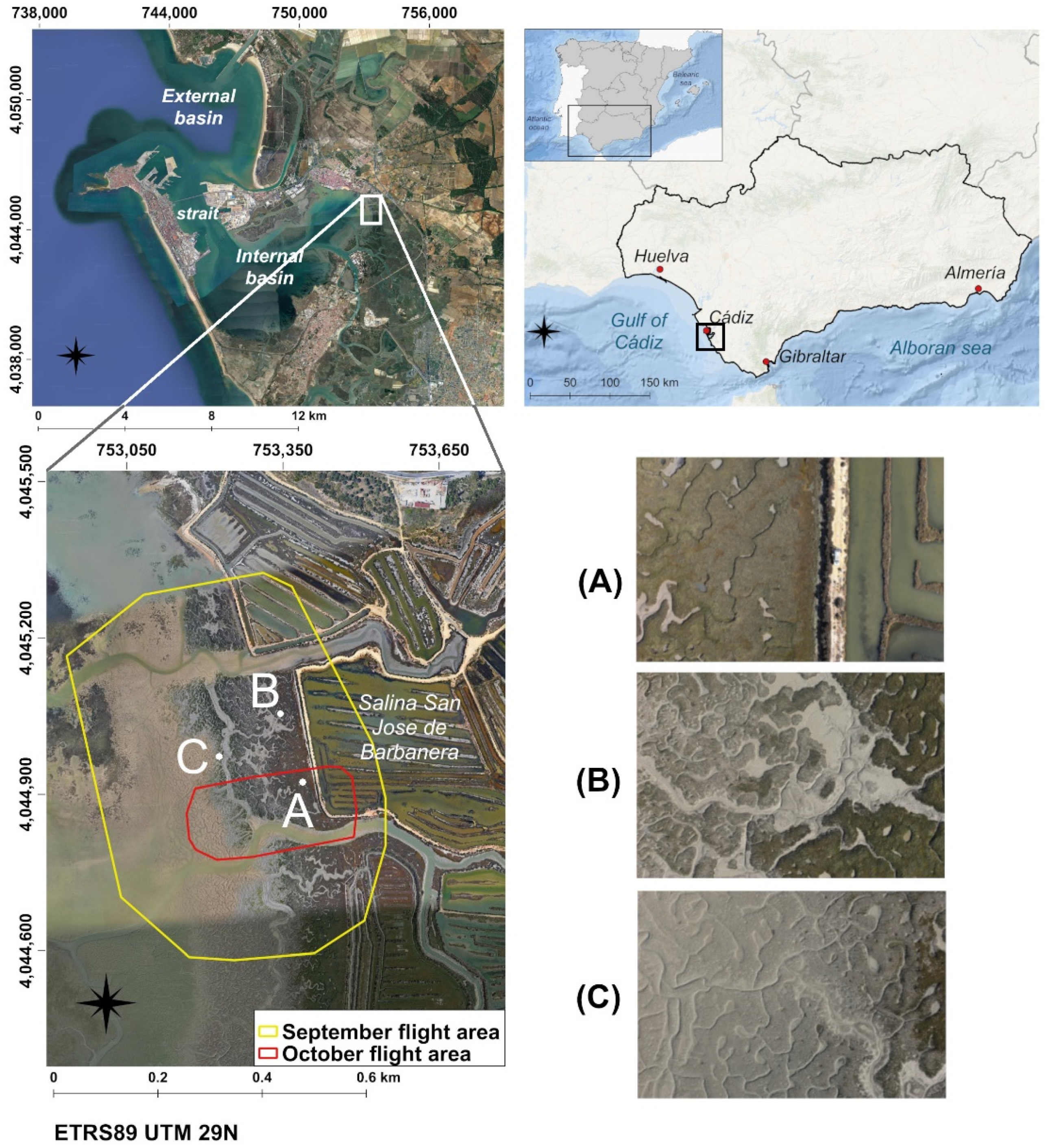 Remotesensing 14 03582 g001 550