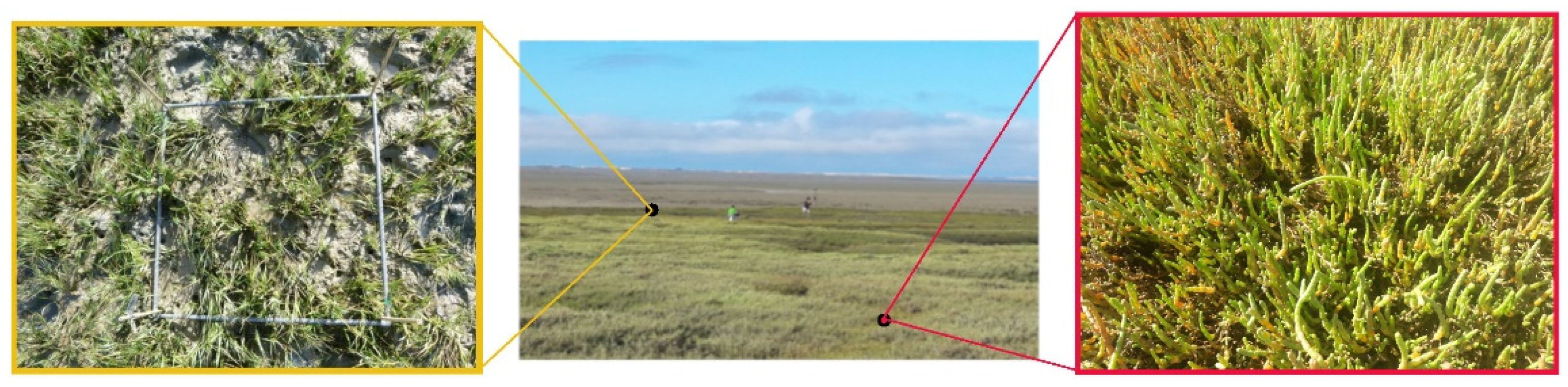 Remotesensing 14 03582 g002 550