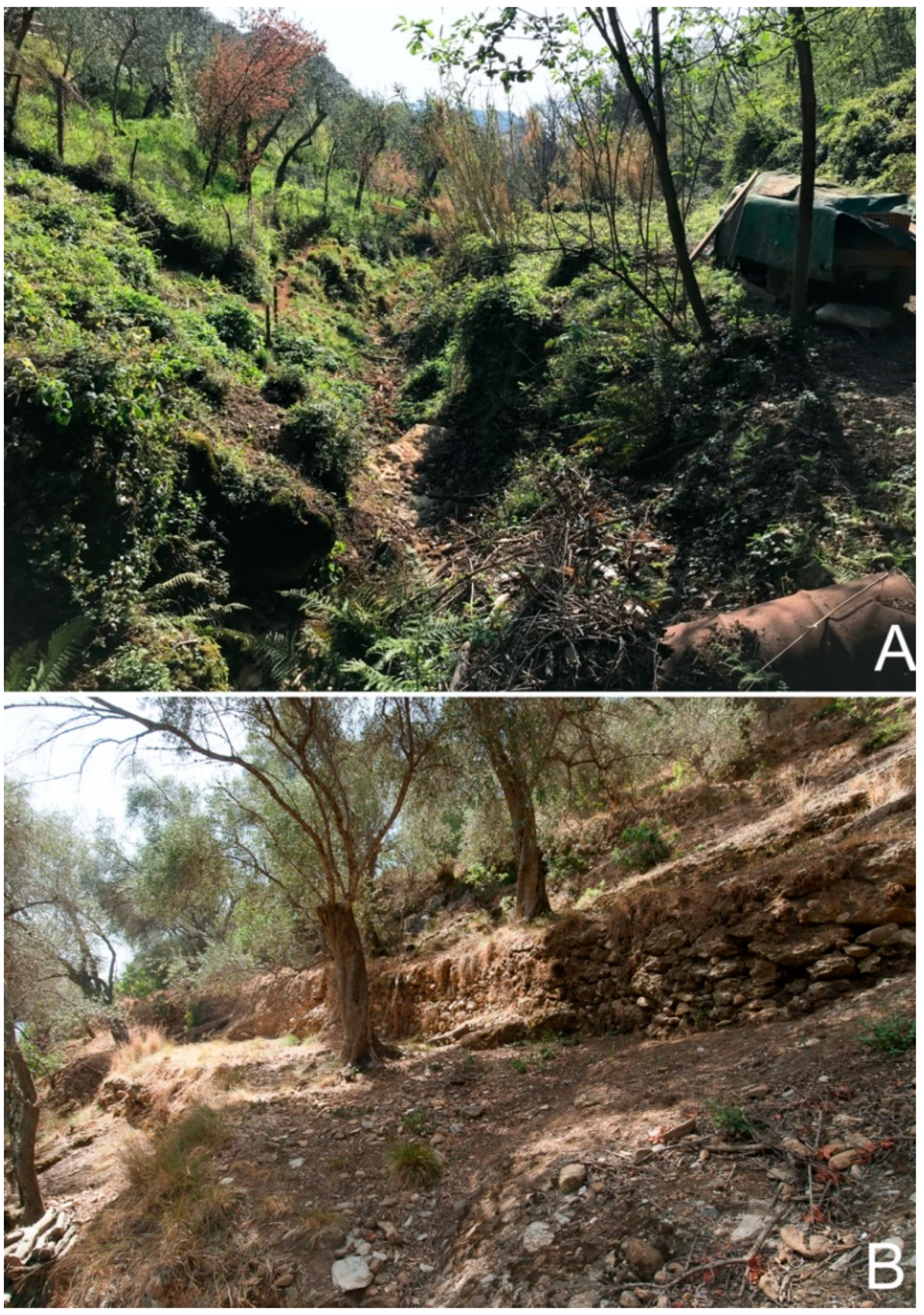 Remotesensing 14 03586 g004 550