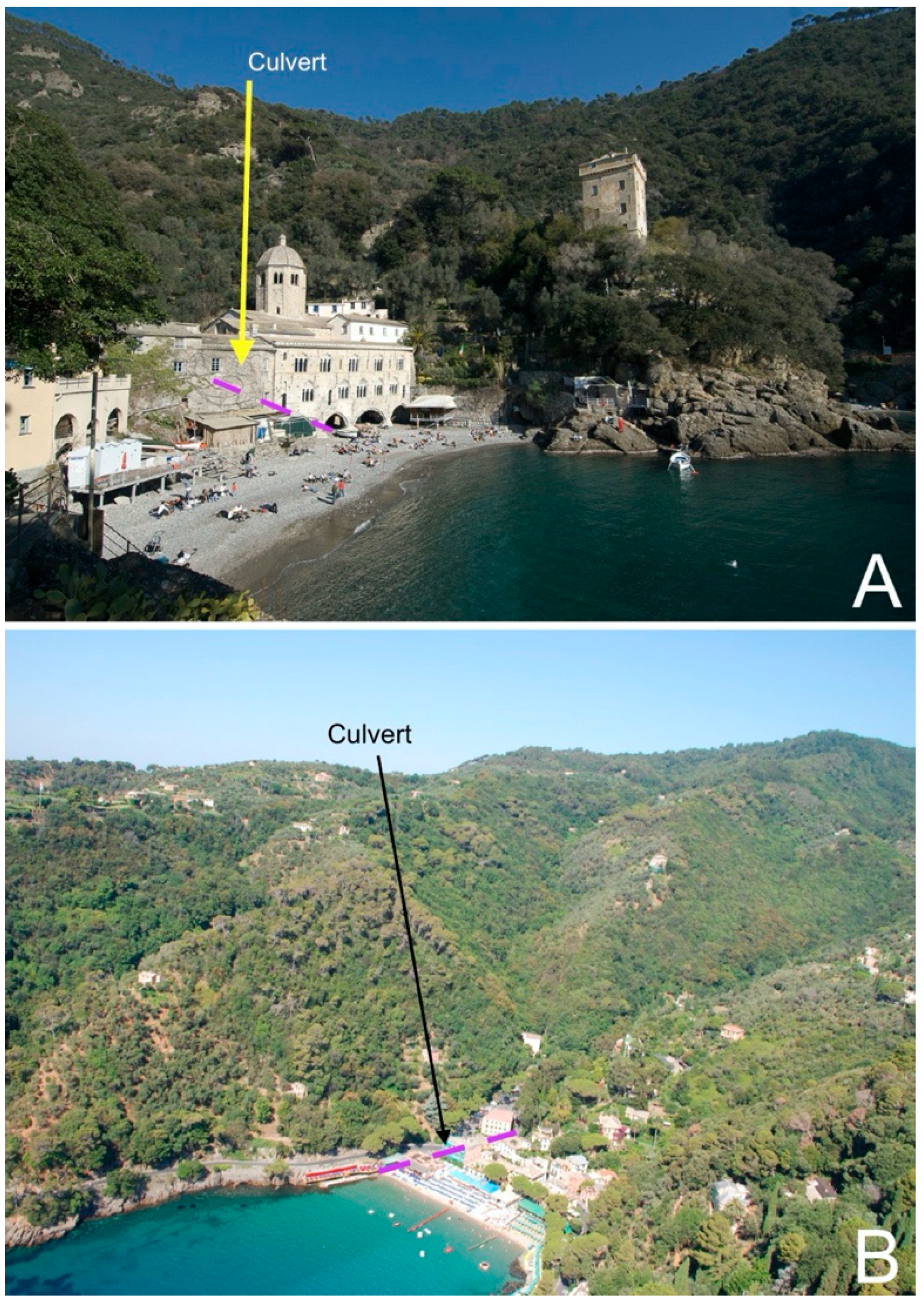 Remotesensing 14 03586 g013 550