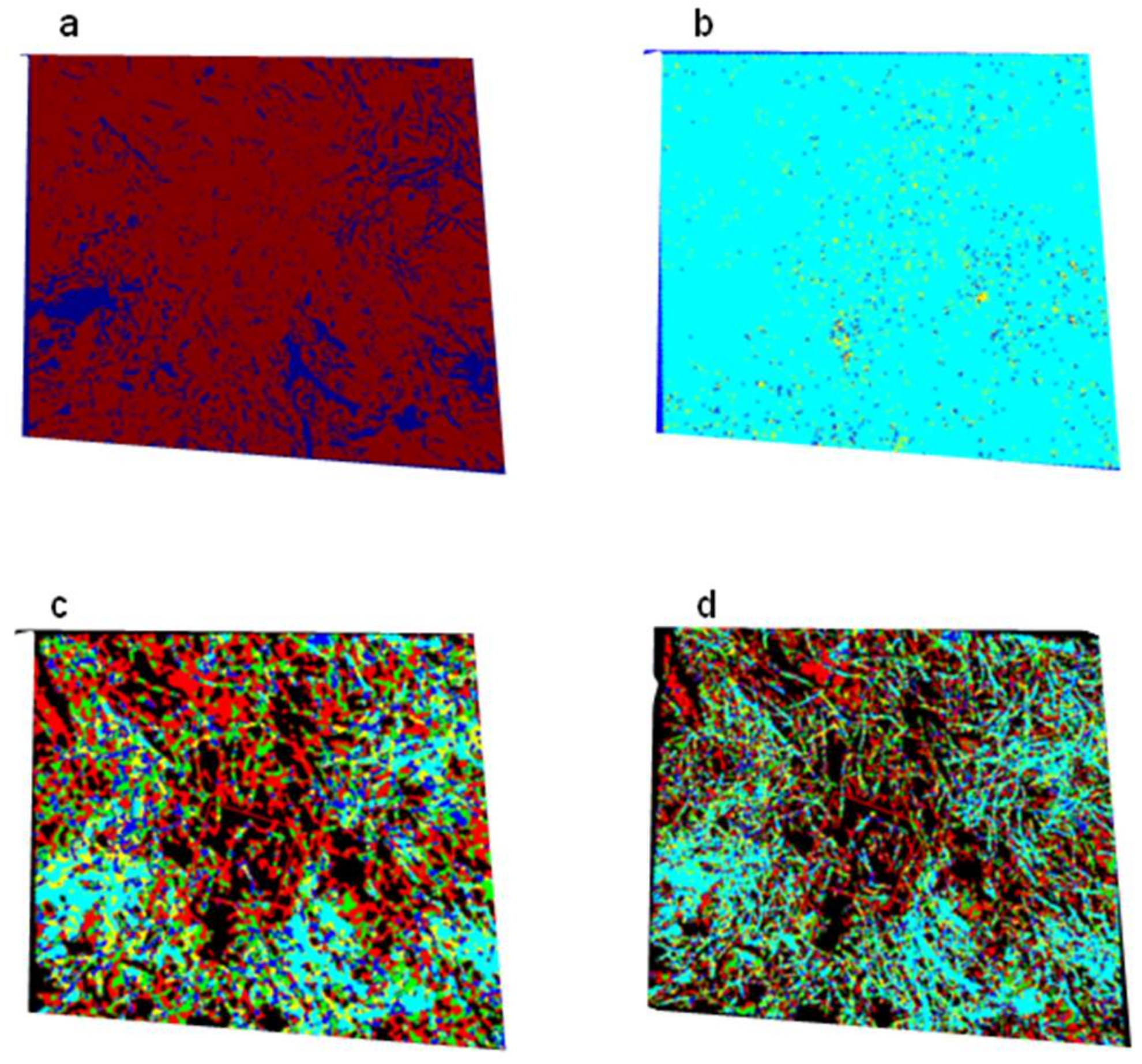 Remotesensing 14 03632 g007