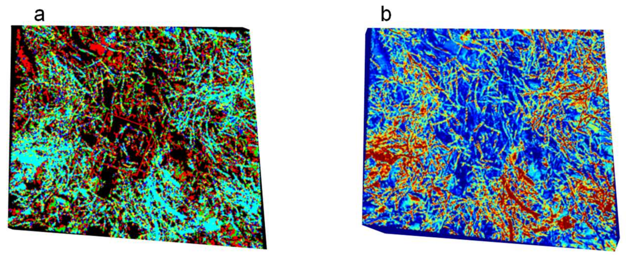 Remotesensing 14 03632 g010