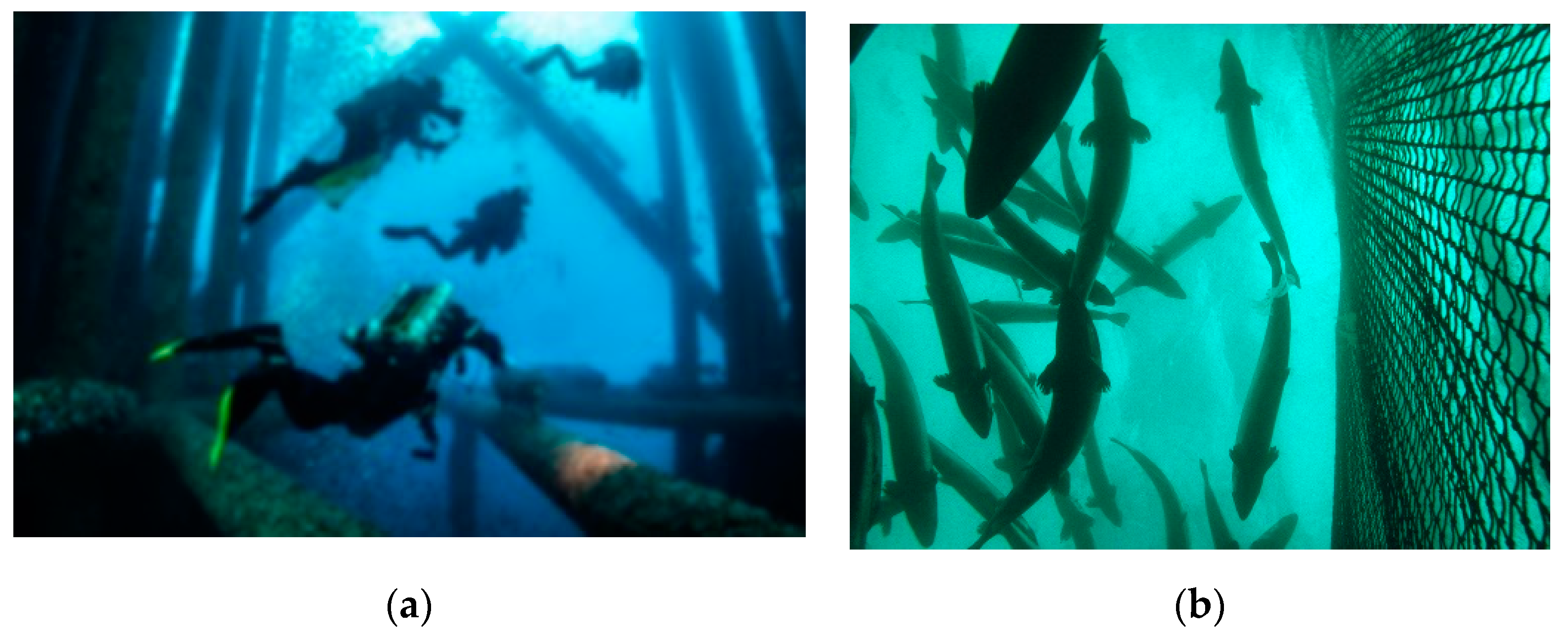 Remotesensing 14 03680 g001 550