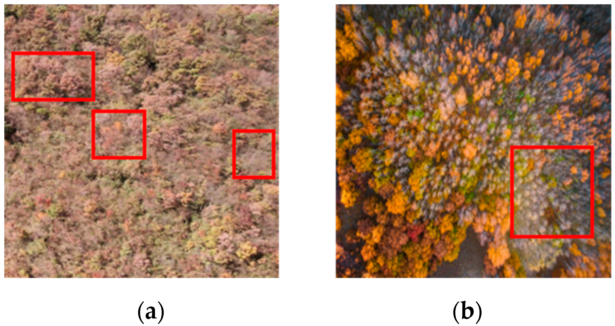 Remotesensing 14 03684 g010 550