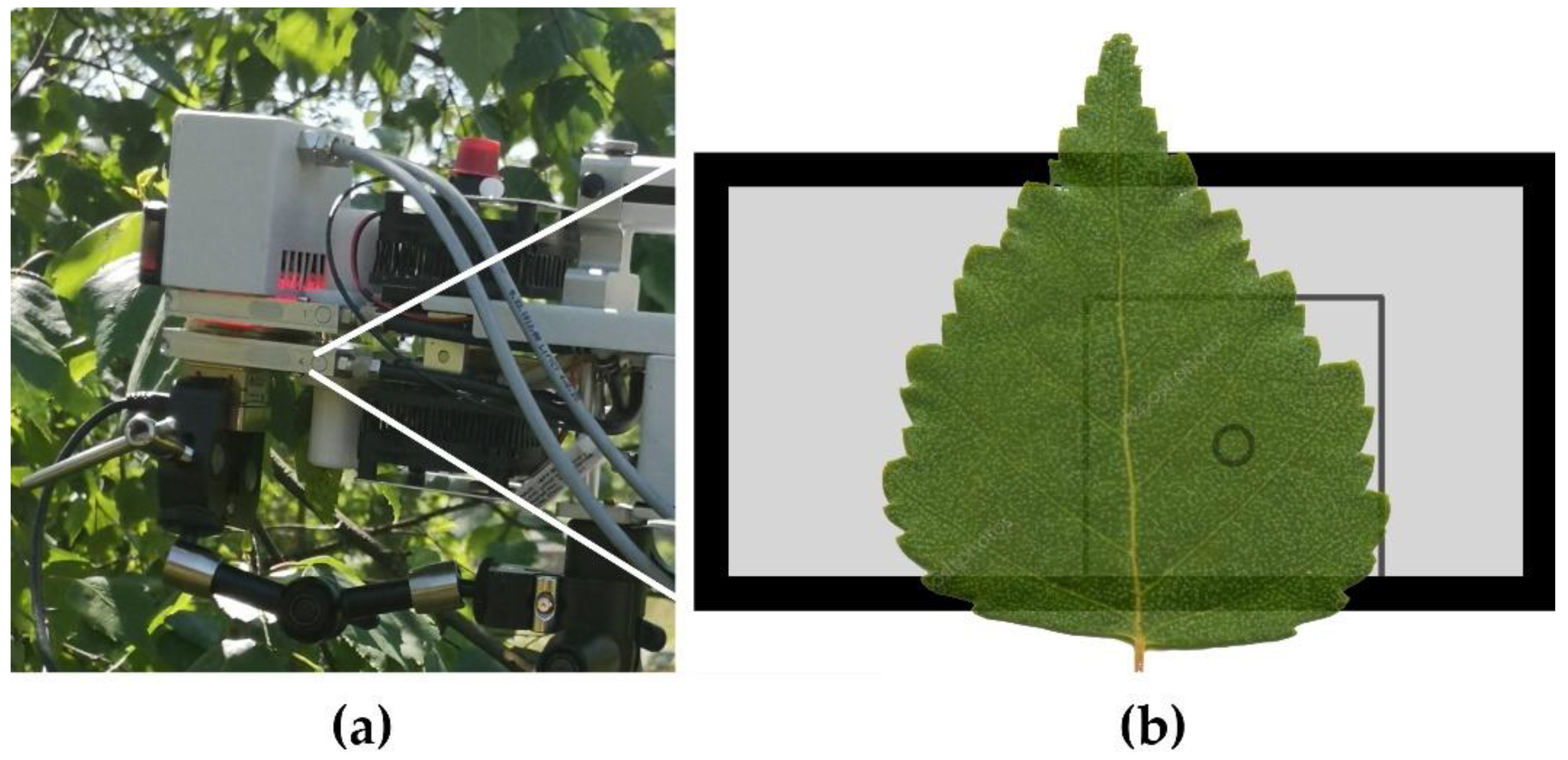 Remotesensing 14 03693 g001