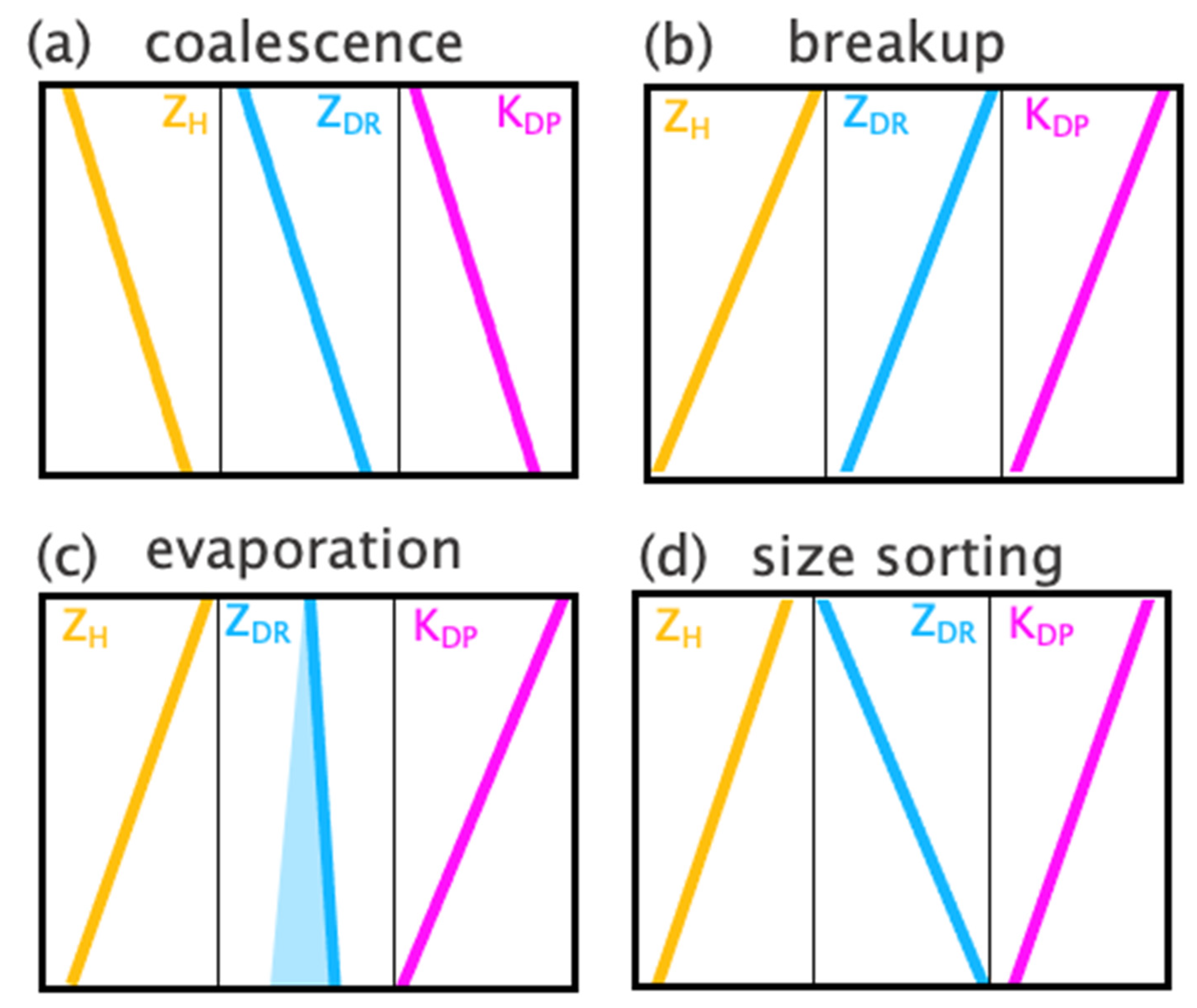 Remotesensing 14 03706 g002