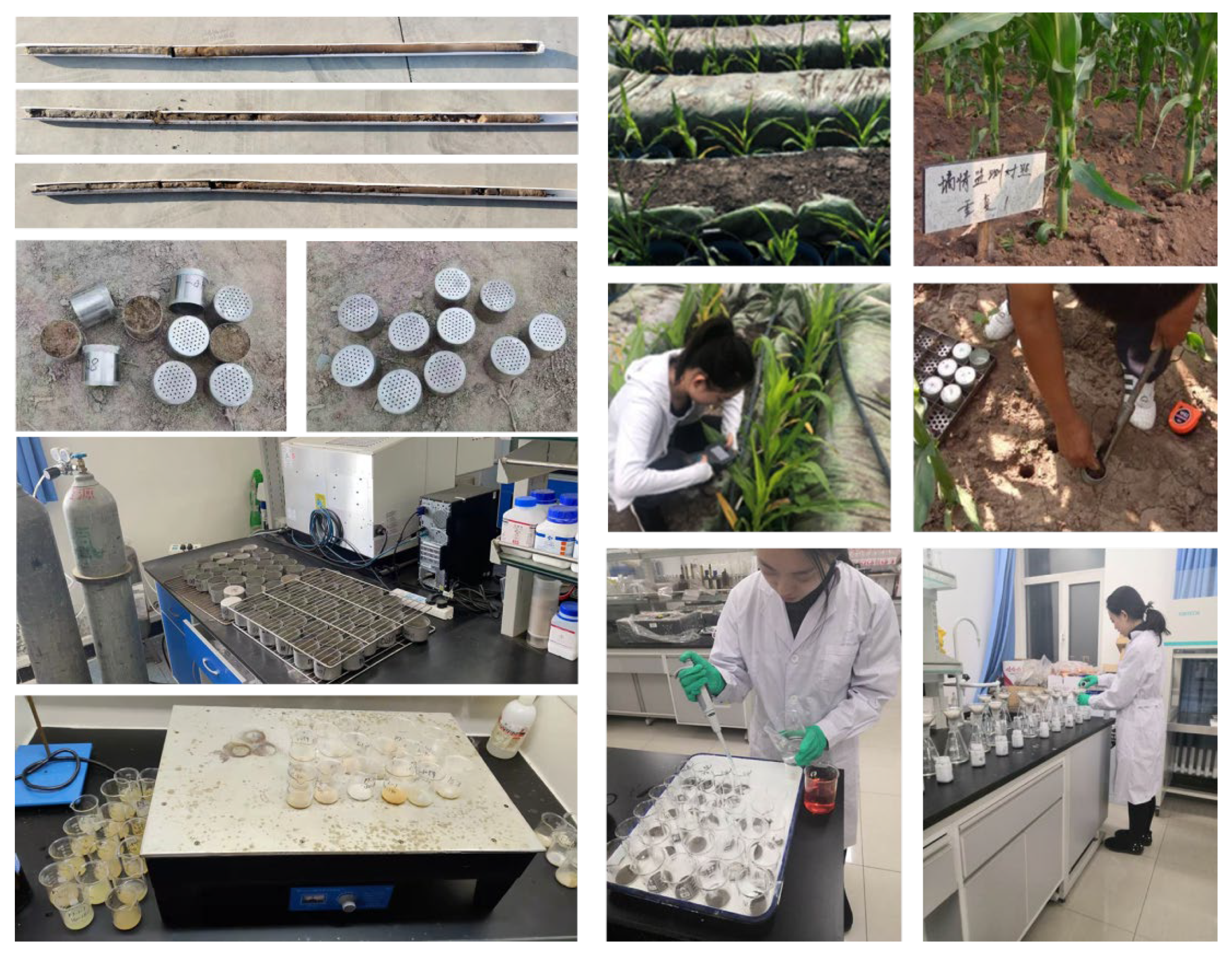 Remotesensing 14 03711 g003 550