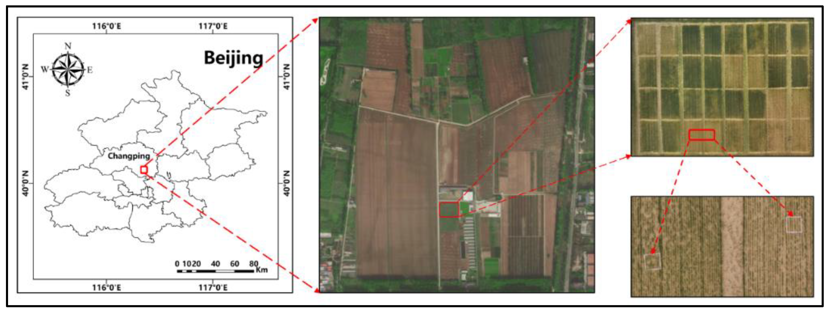 Remotesensing 14 03723 g001