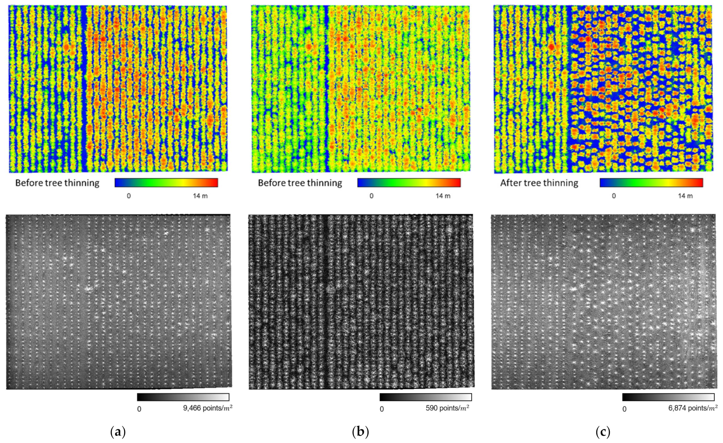 Remotesensing 14 03738 g004