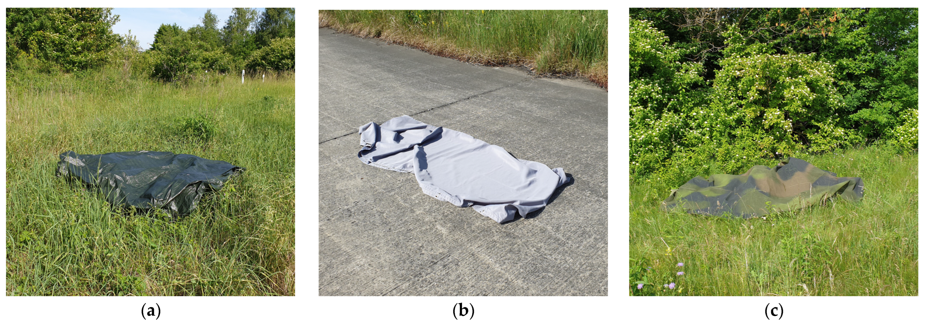 Remotesensing 14 03755 g004 550