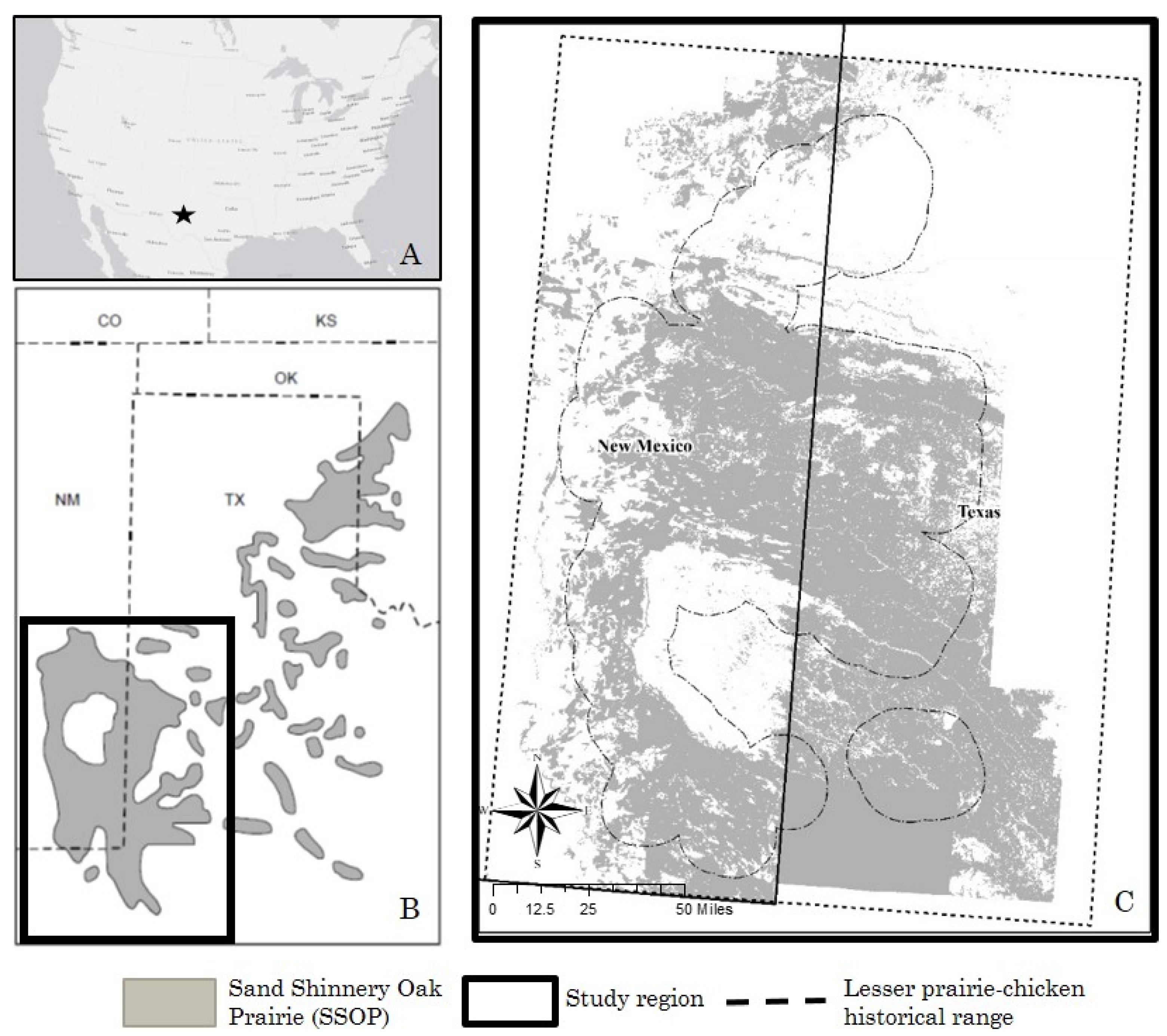 Remotesensing 14 03780 g001
