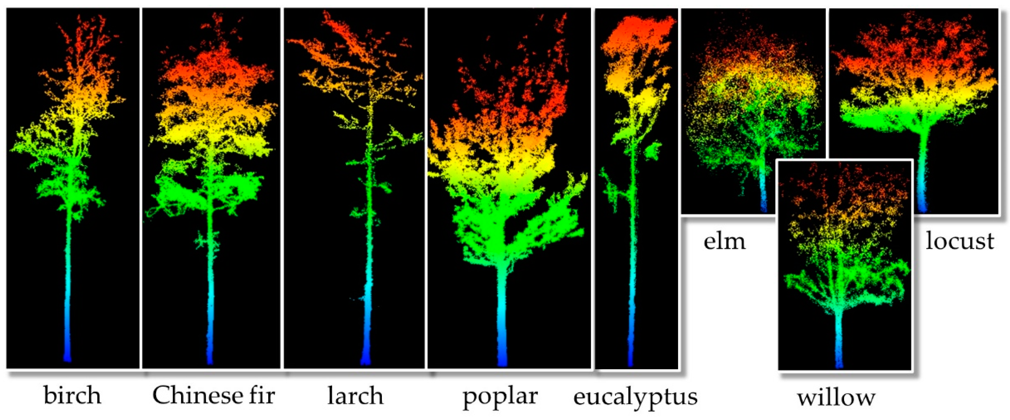 Remote Sensing | Free Full-Text | Tree Species Classification of ...