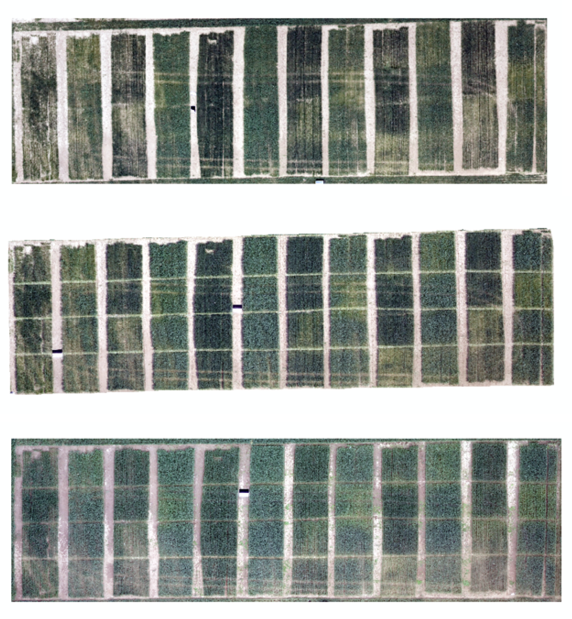 Remotesensing 14 03811 g007 550