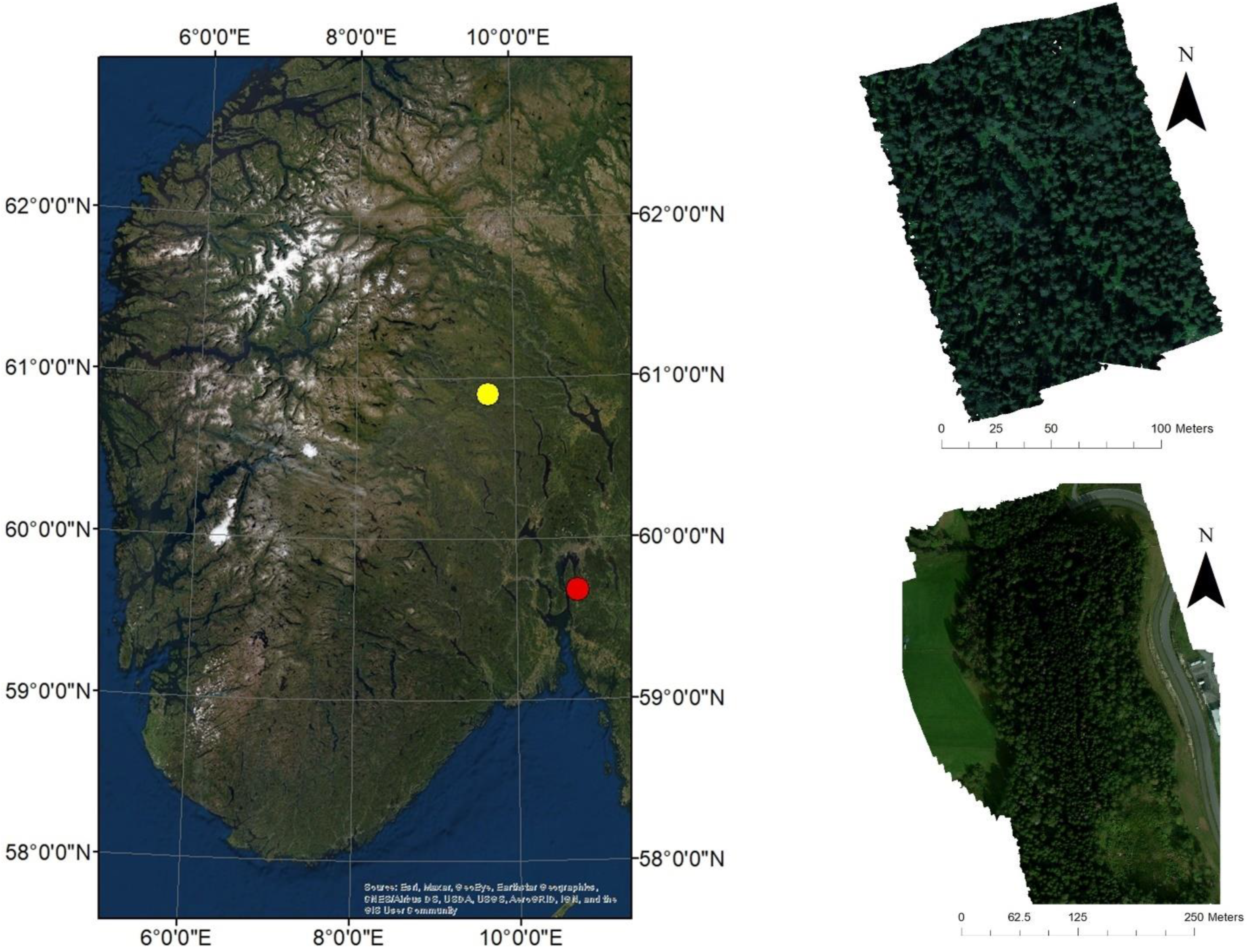Remotesensing 14 03830 g001