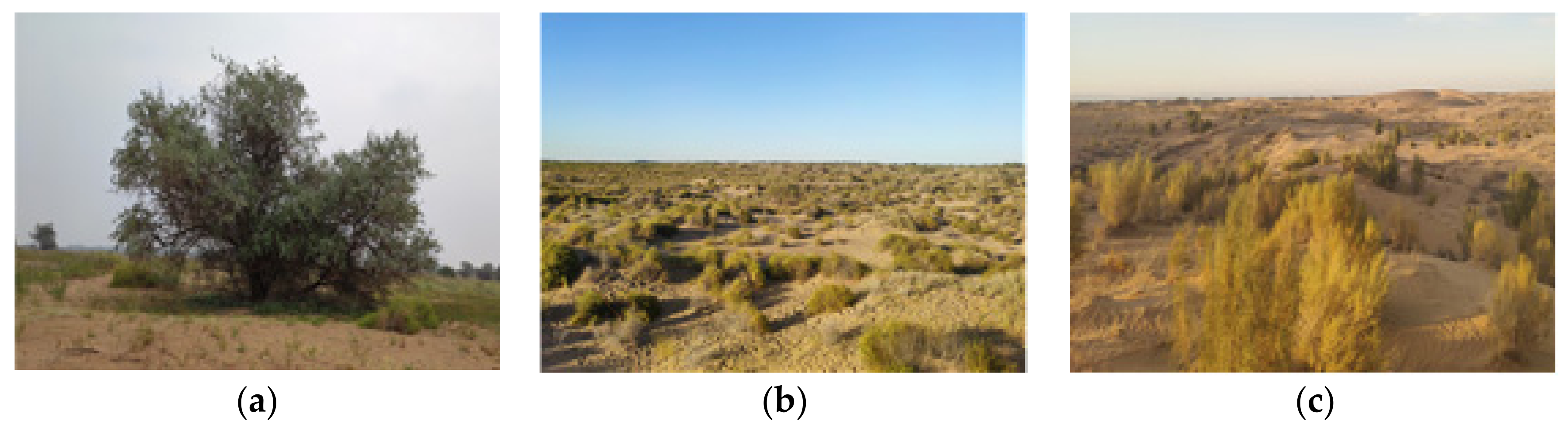 Remotesensing 14 03833 g002 550