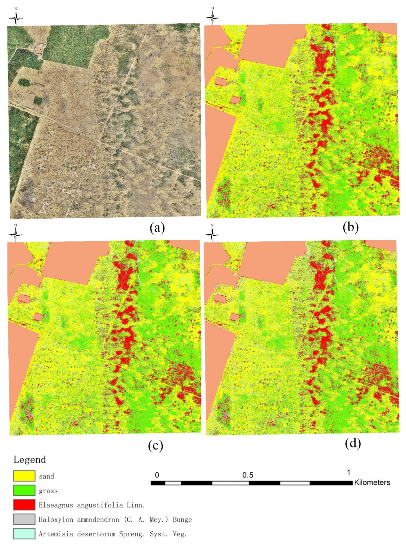 Remotesensing 14 03833 g008 550