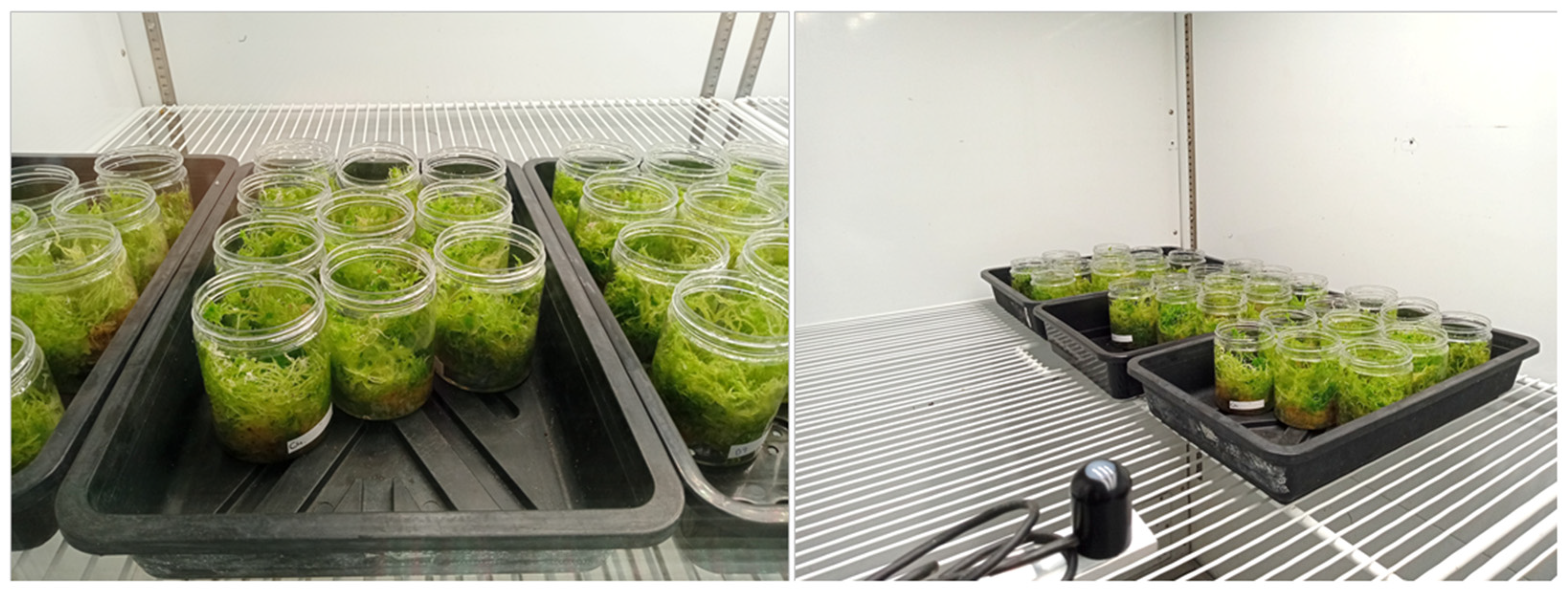 Remotesensing 14 03846 g002 550