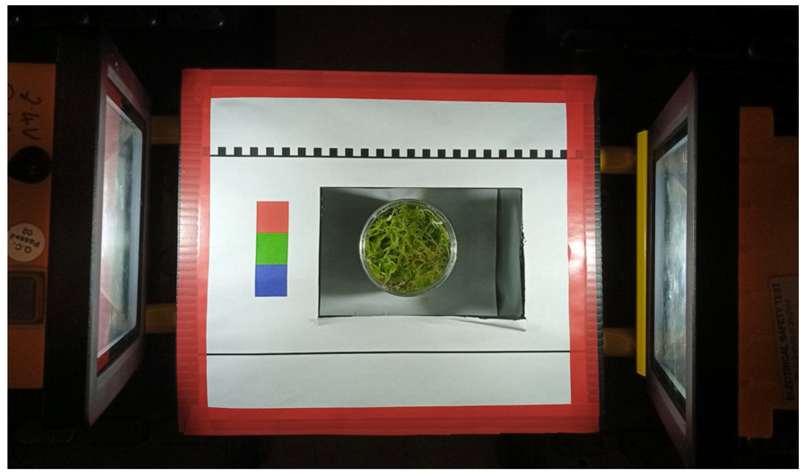 Remotesensing 14 03846 g003 550