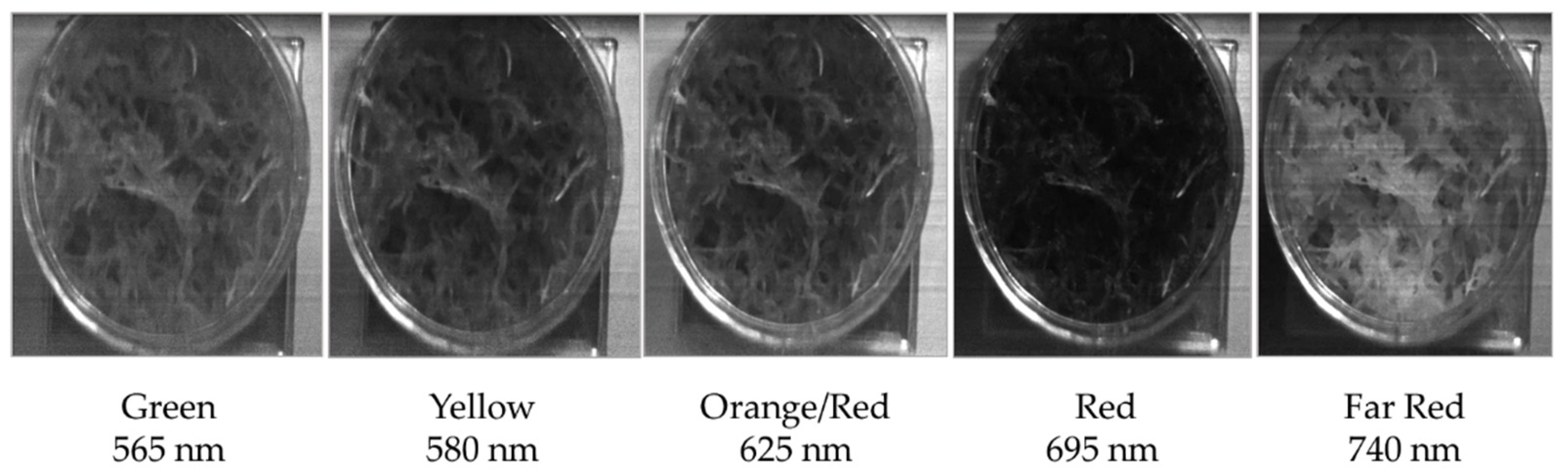 Remotesensing 14 03846 g006 550