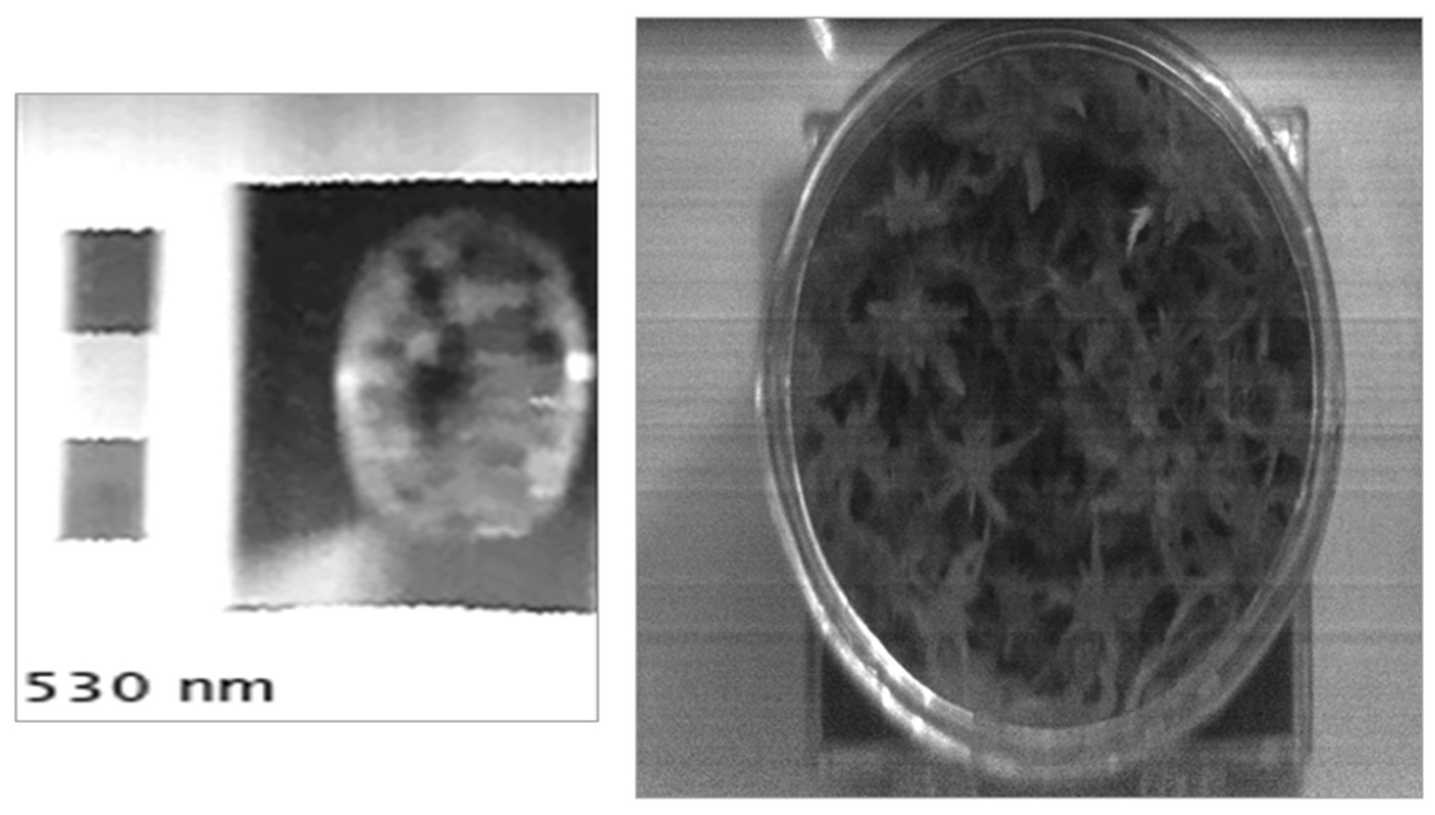 Remotesensing 14 03846 g007 550