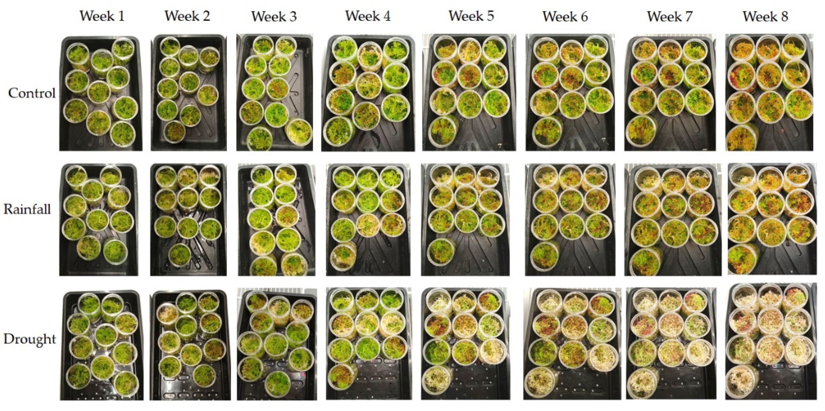 Remotesensing 14 03846 g009 550