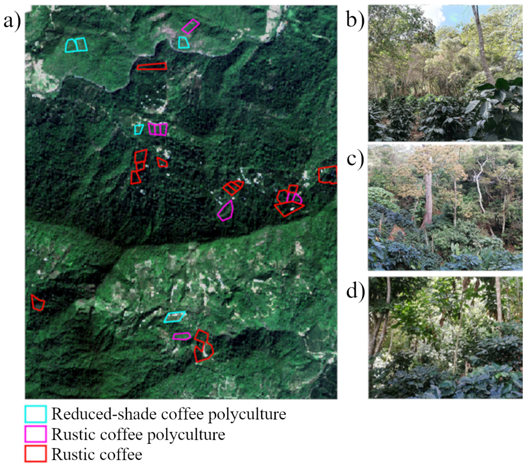 Remotesensing 14 03847 g002 550