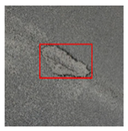 Remotesensing 14 03892 i012 Remotesensing 14 03892 i012