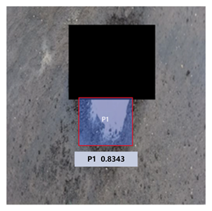 Remotesensing 14 03892 i017 Remotesensing 14 03892 i017