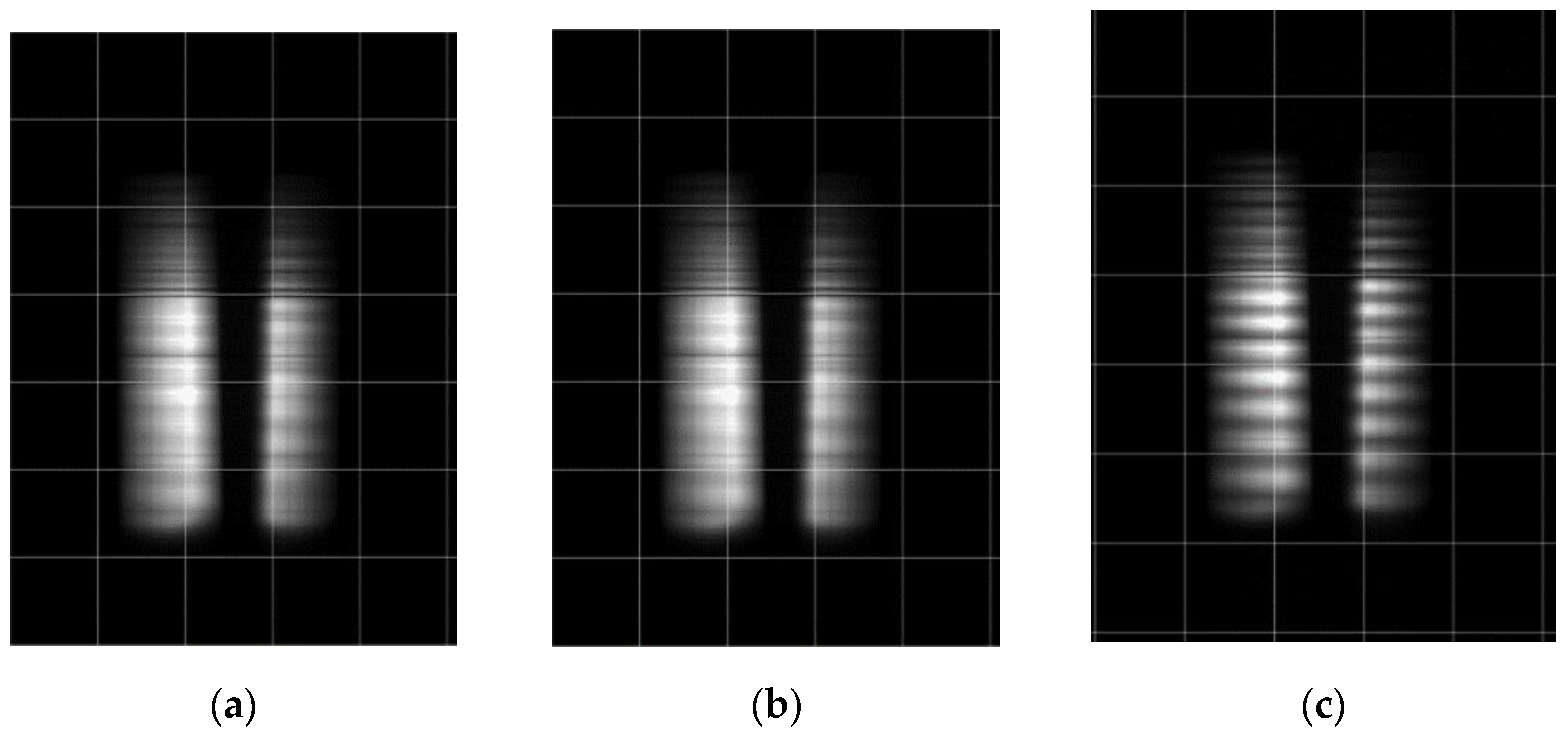 Remotesensing 14 03898 g024