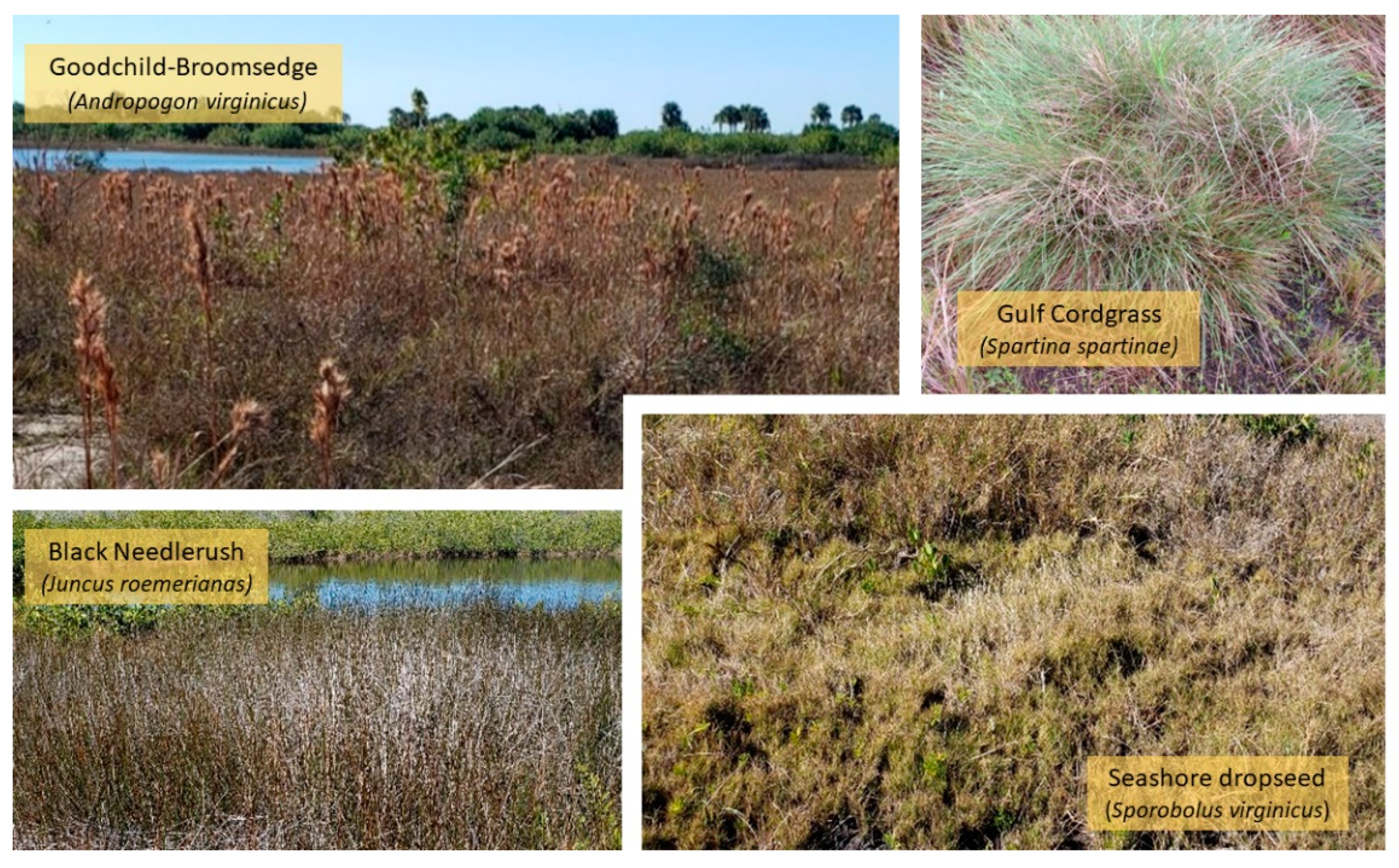 Remotesensing 14 03937 g004