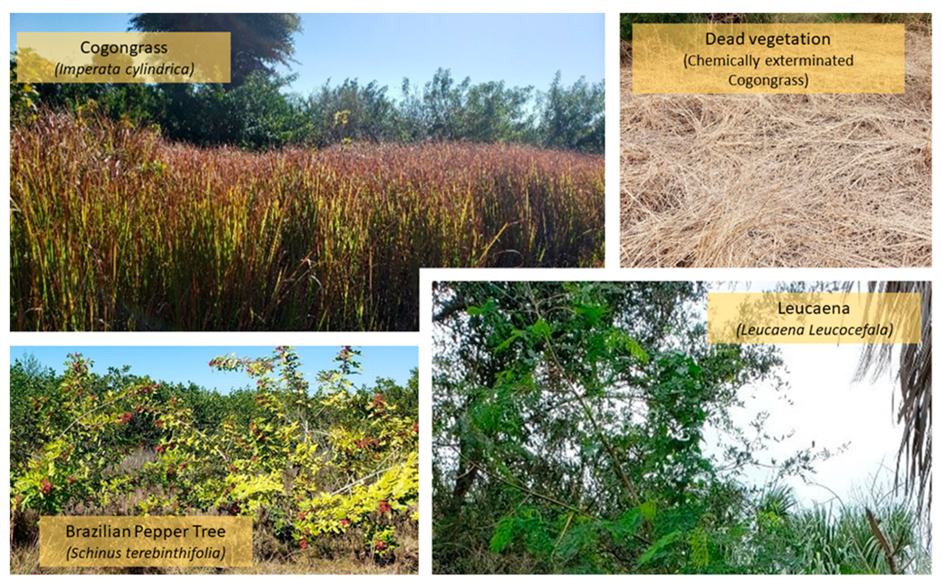 Remotesensing 14 03937 g005