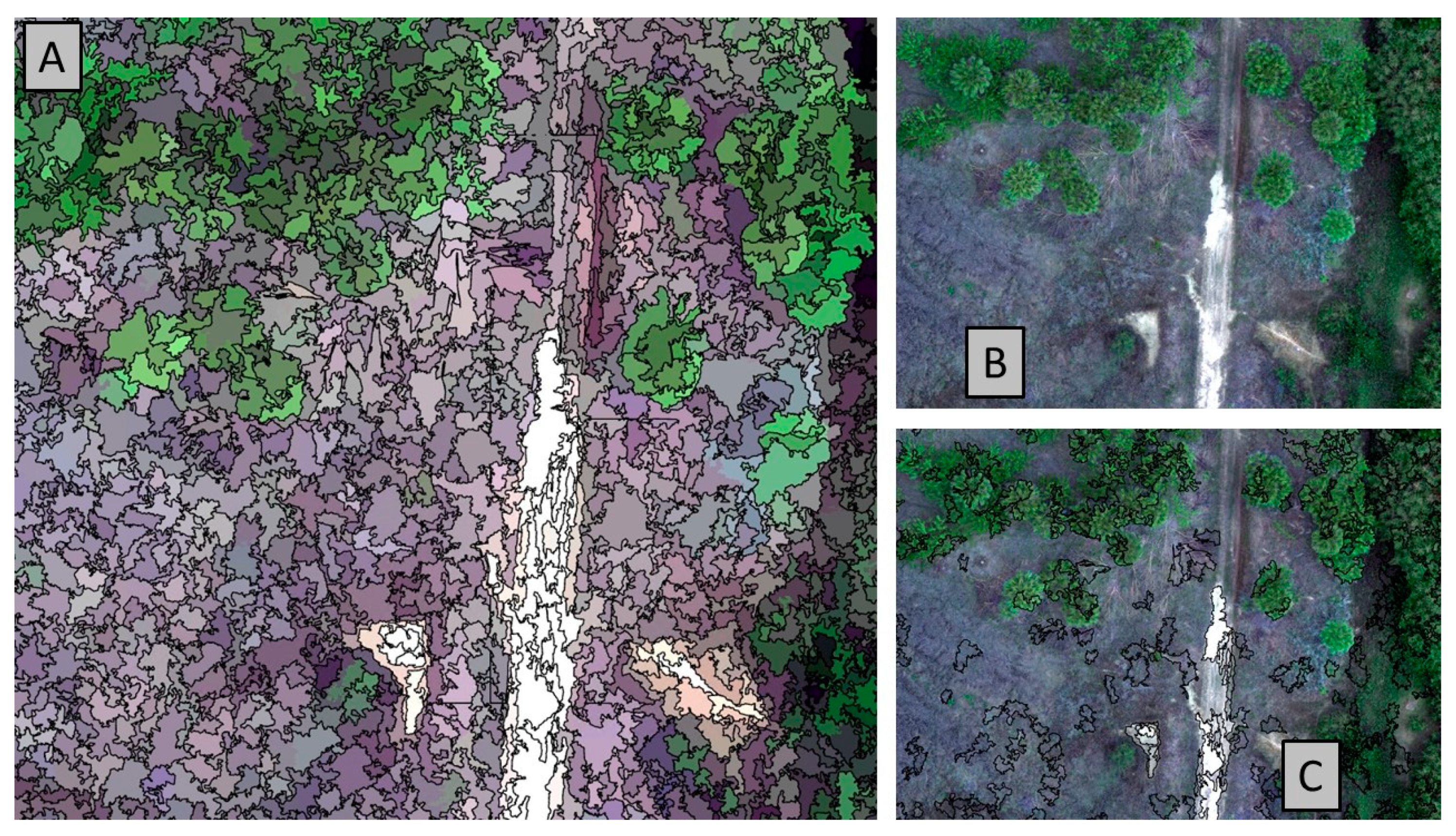 Remotesensing 14 03937 g008