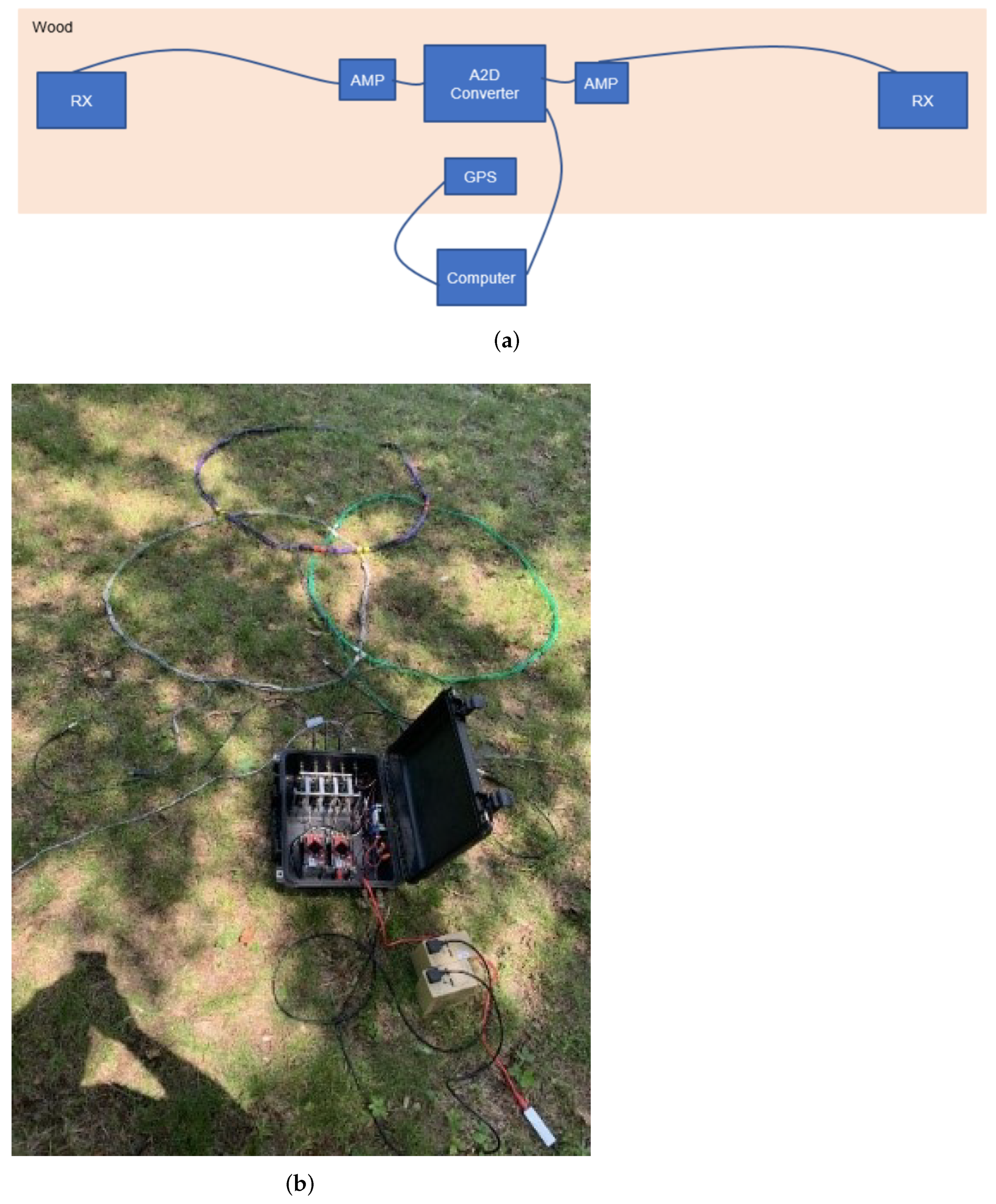 Remotesensing 14 03973 g012 550