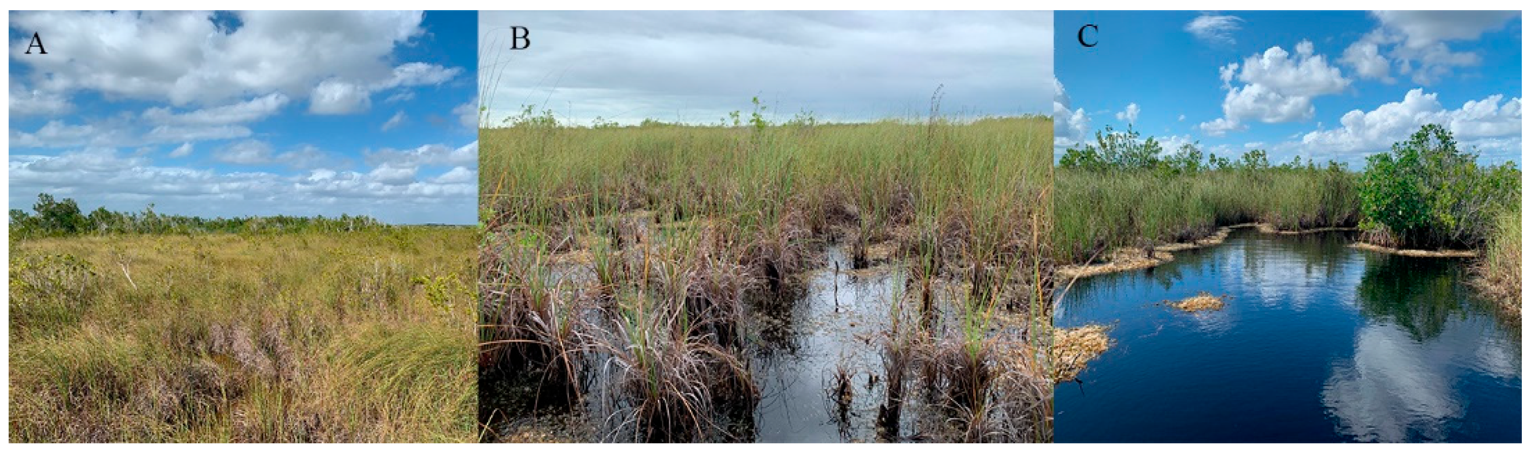 Remotesensing 14 03976 g003 550