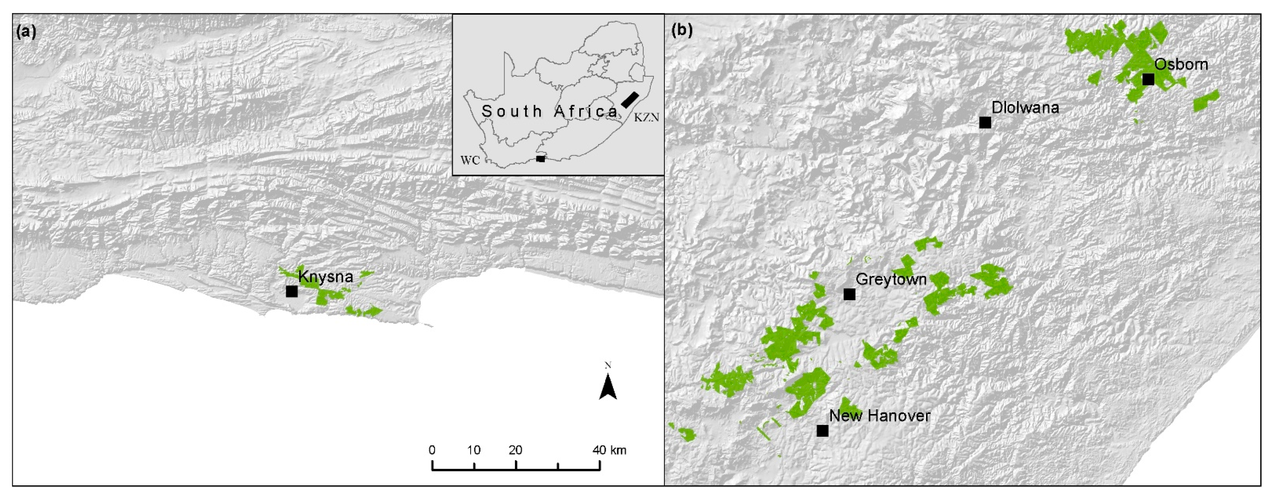 Remotesensing 14 03992 g002 550