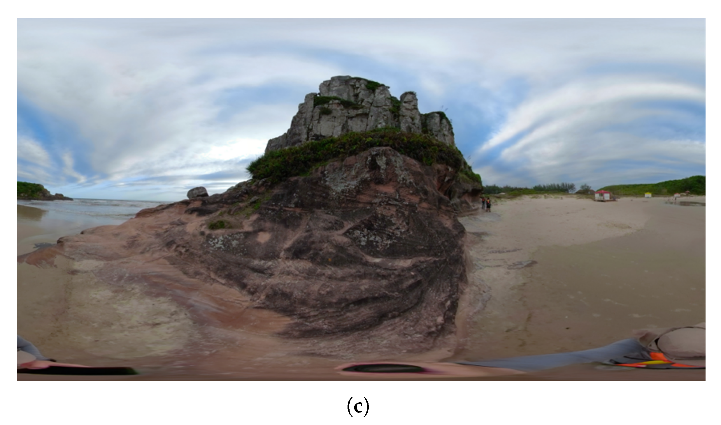 Remotesensing 14 03994 g004b