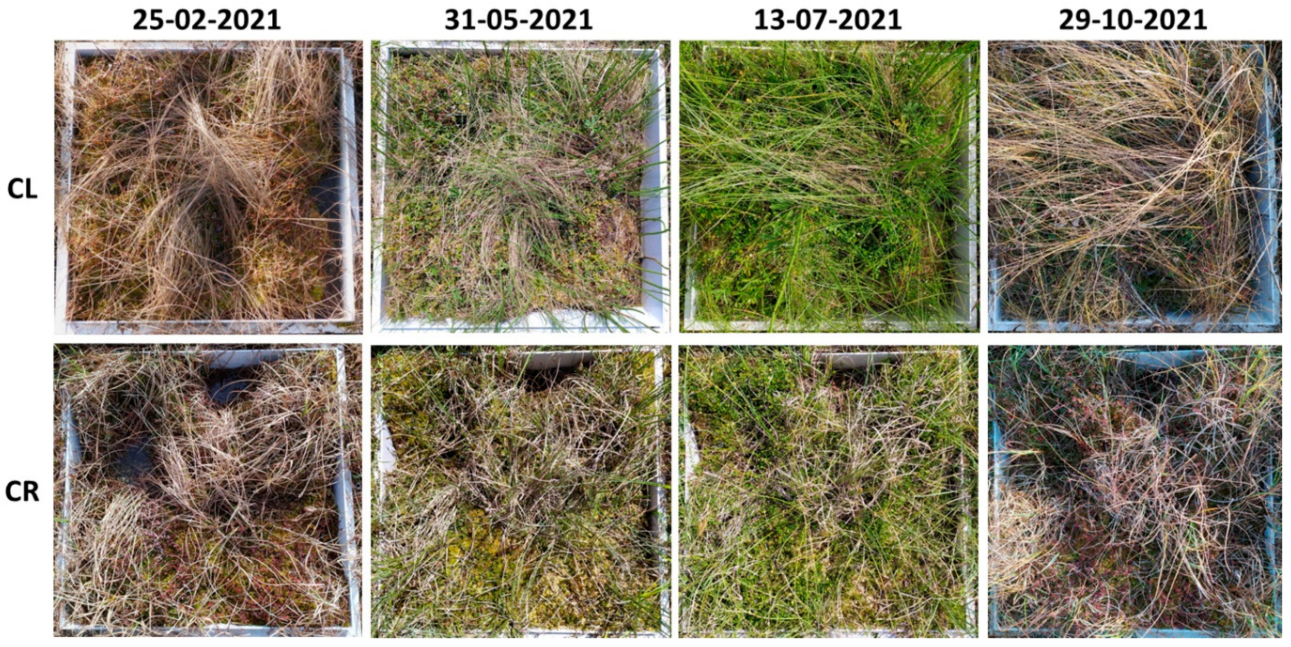 Remotesensing 14 04010 g008