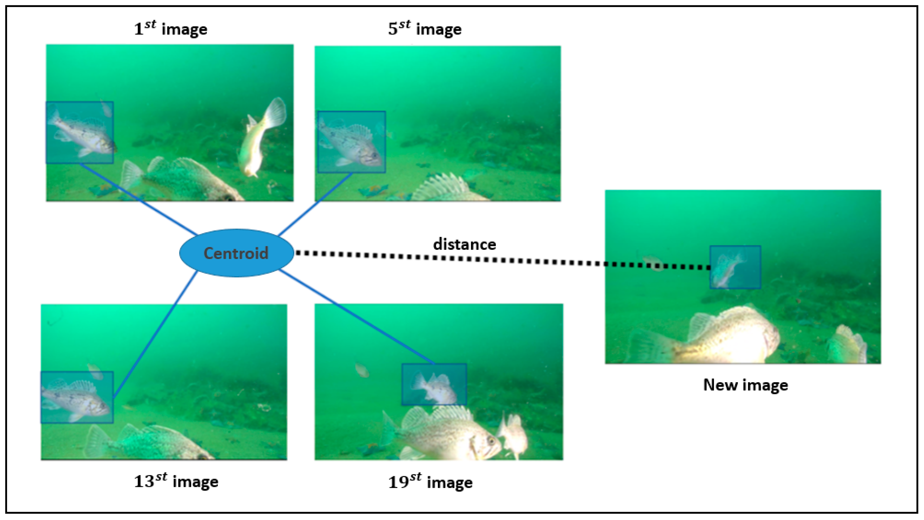 Remotesensing 14 04106 g003 550