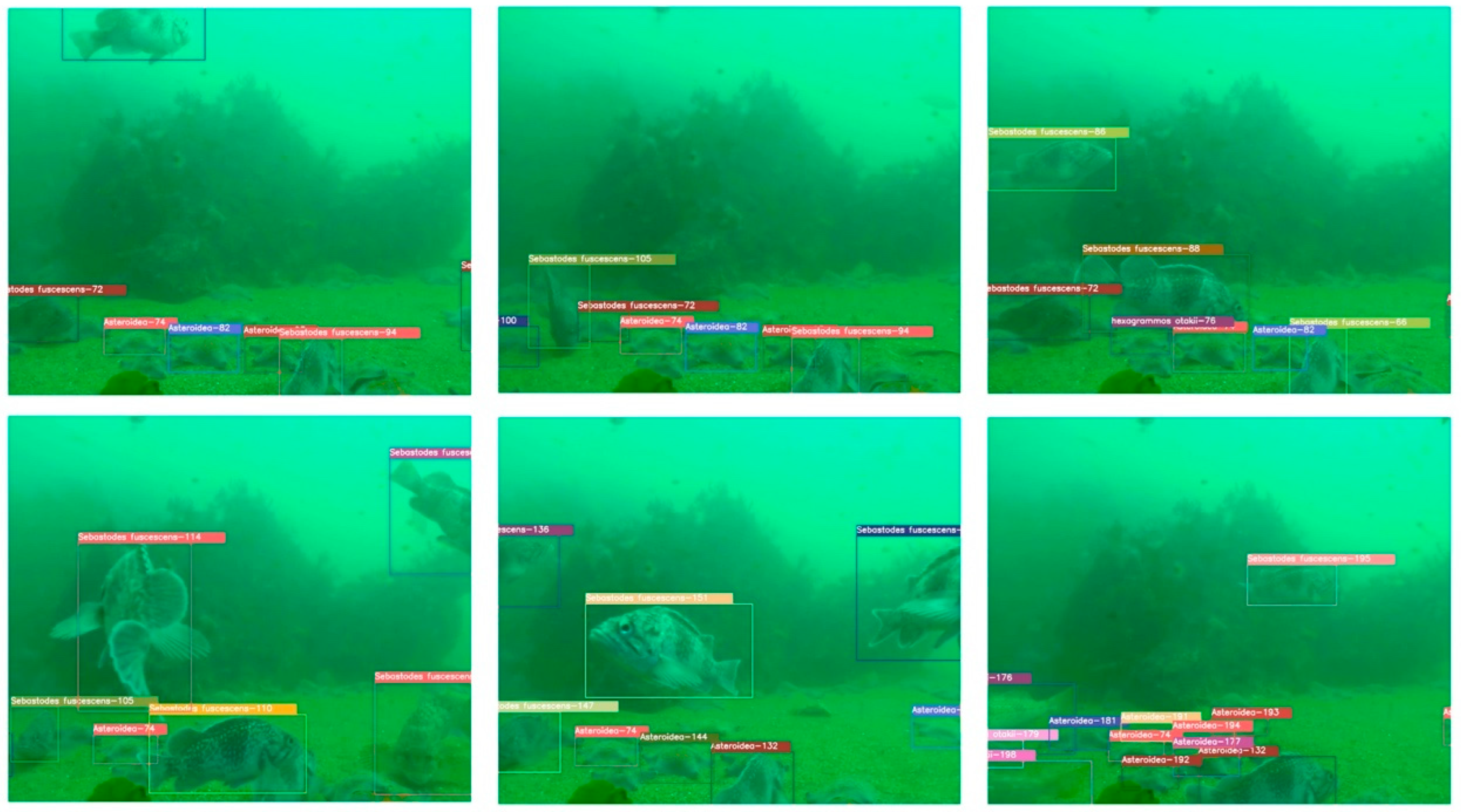 Remotesensing 14 04106 g005 550