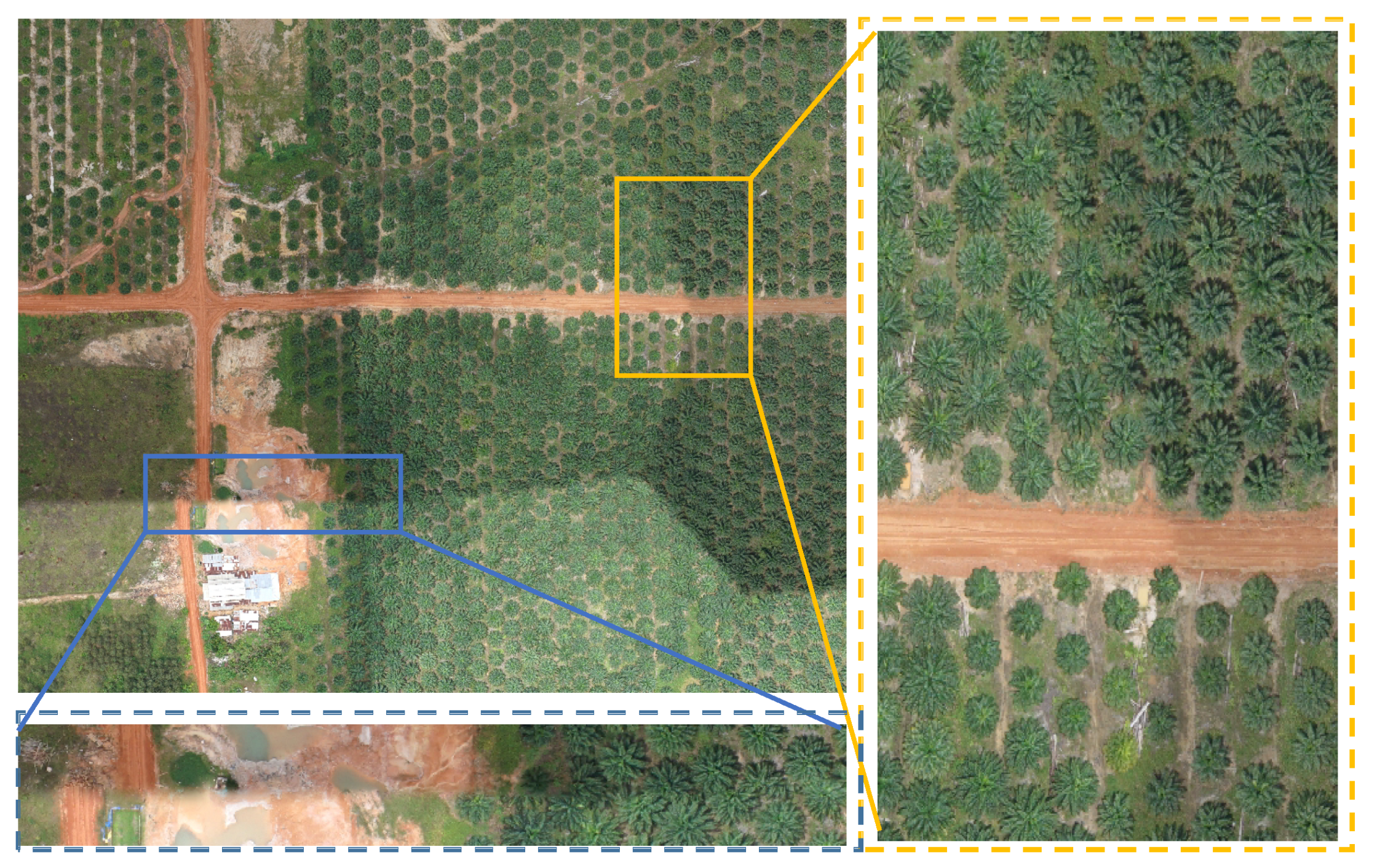 Remotesensing 14 04113 g007 550