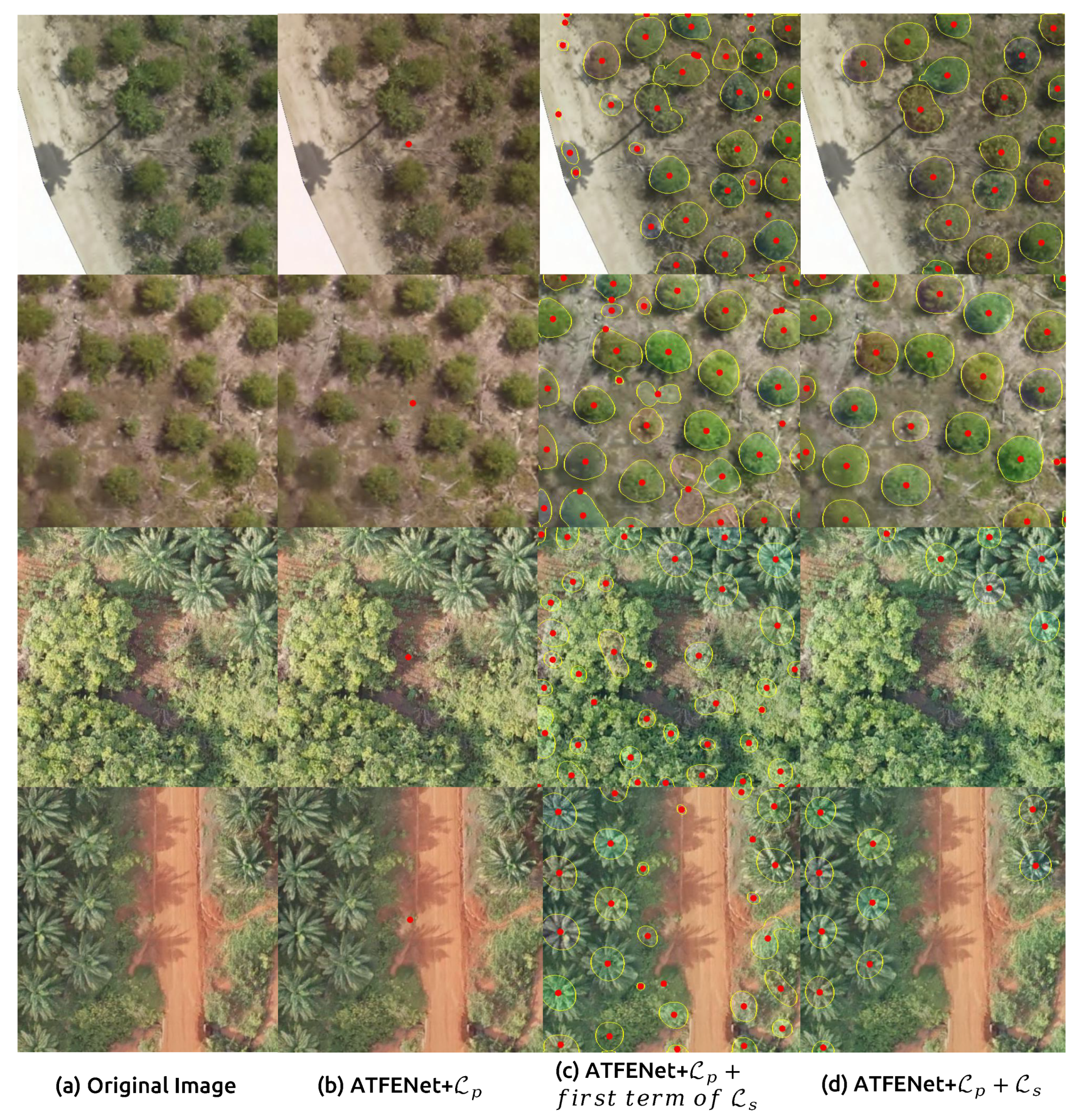 Remotesensing 14 04113 g010 550