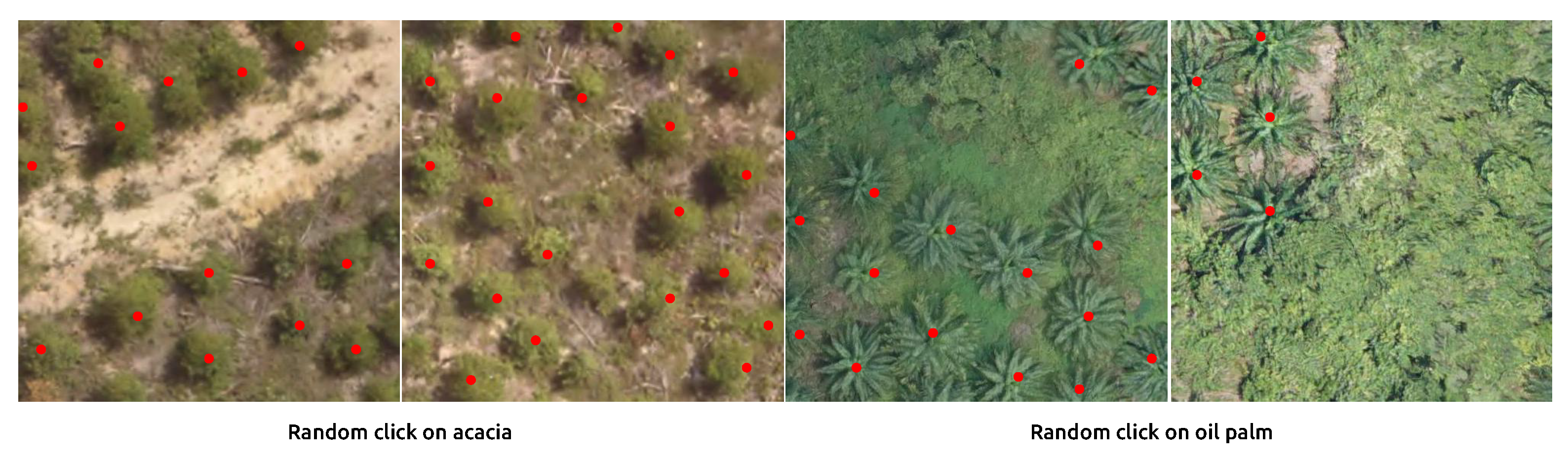 Remotesensing 14 04113 g011 550