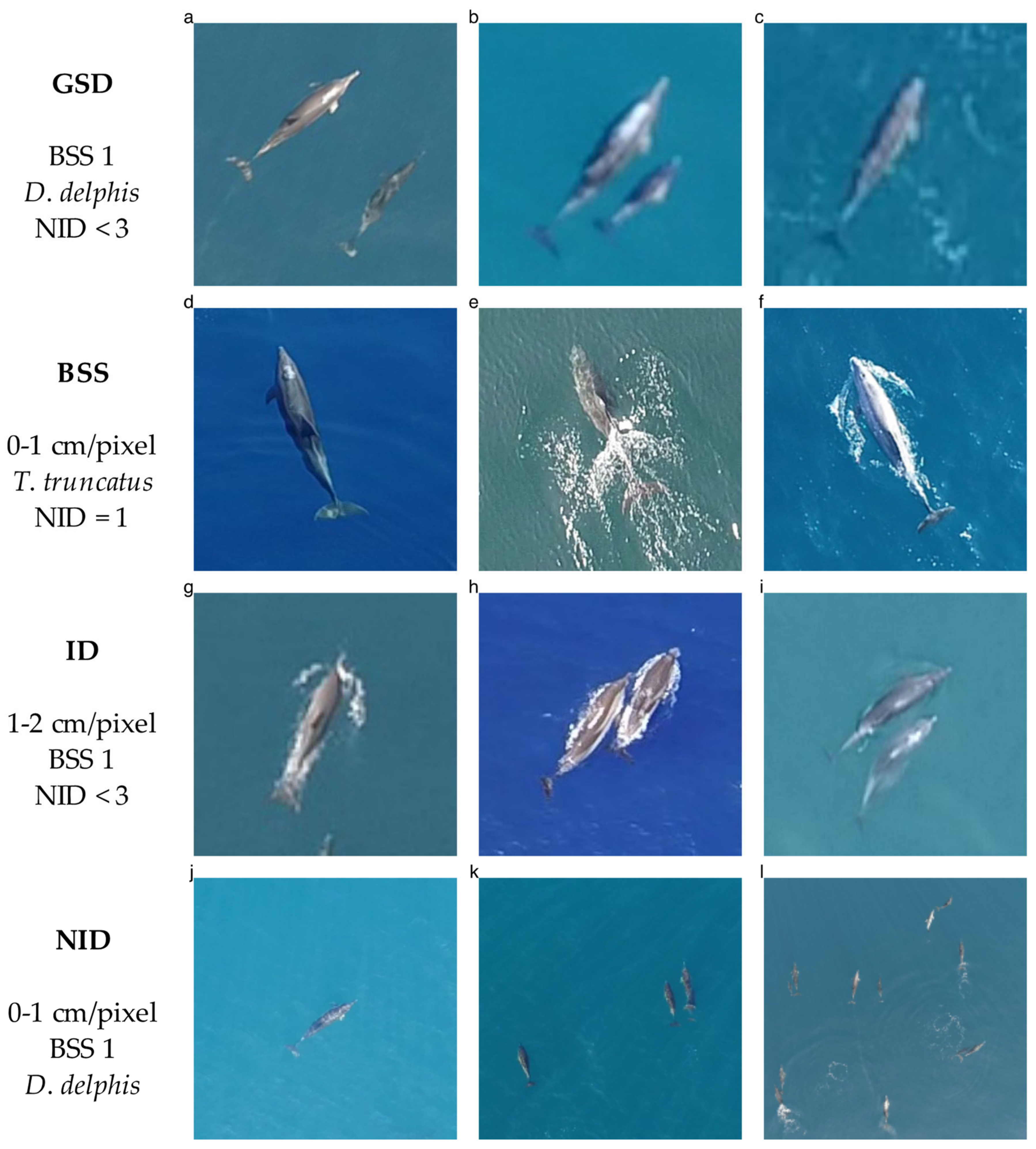 Remotesensing 14 04118 g001