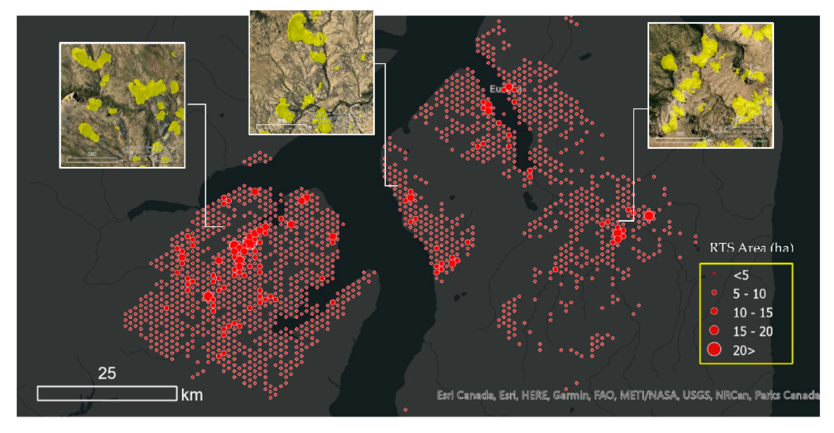 Remotesensing 14 04132 g025