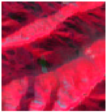 Remotesensing 14 04147 i006