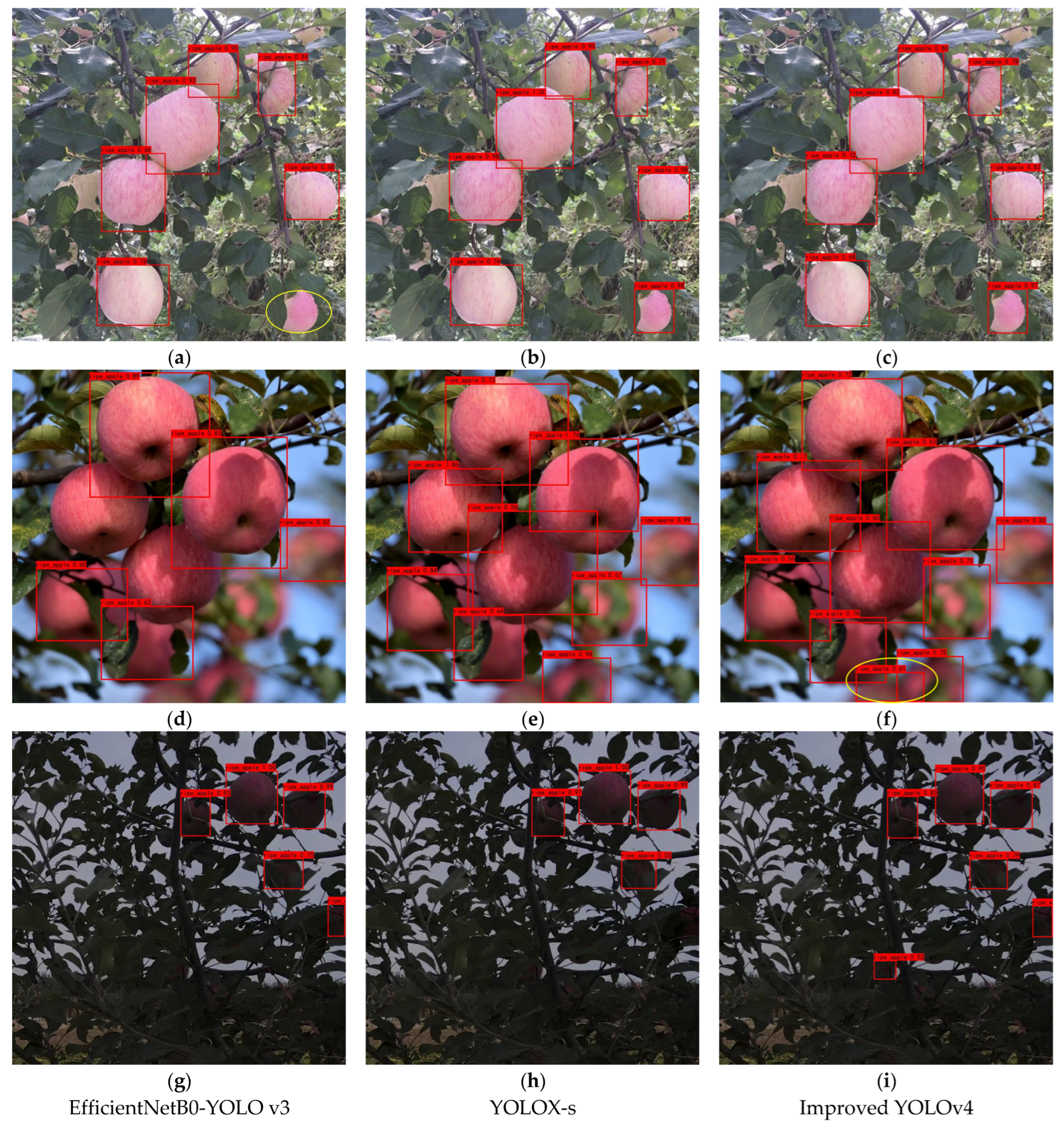 Remotesensing 14 04150 g012