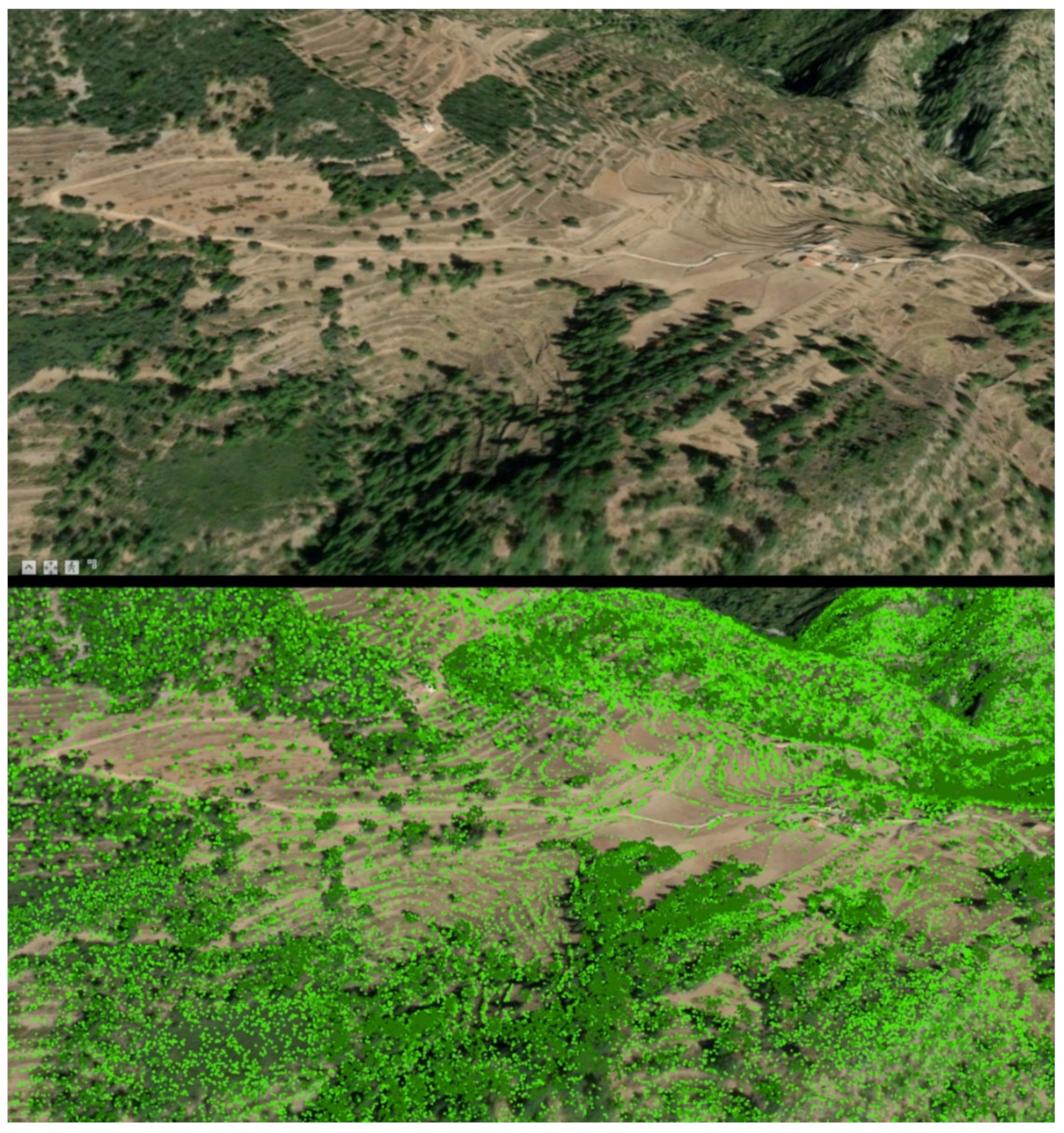 Remotesensing 14 04155 g005 550